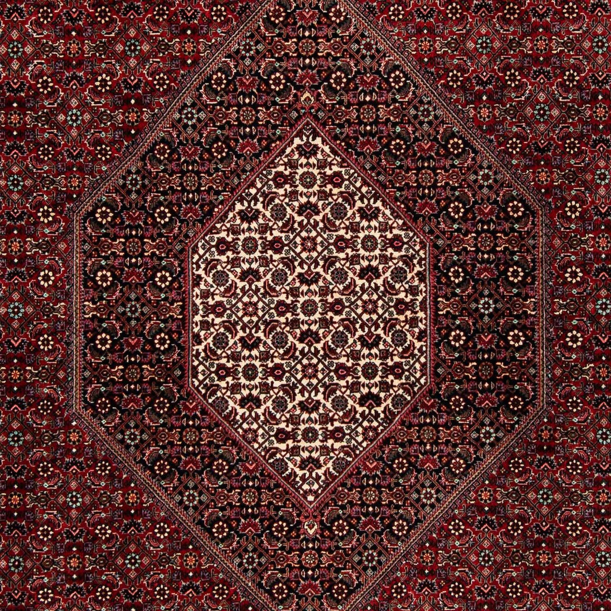 Tapis persan - Bidjar - 258 x 202 cm - rouge foncé