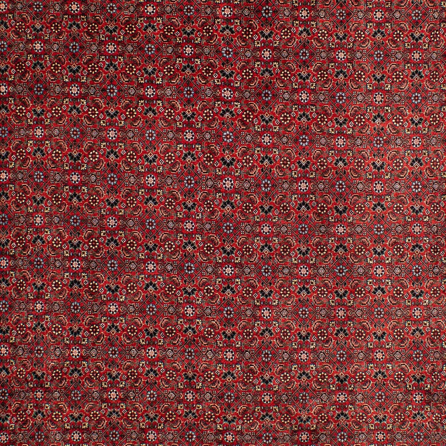 Tapis persan - Bidjar - 295 x 203 cm - rouge foncé