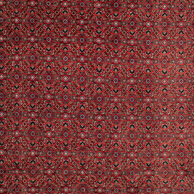 Tapis persan - Bidjar - 295 x 203 cm - rouge foncé