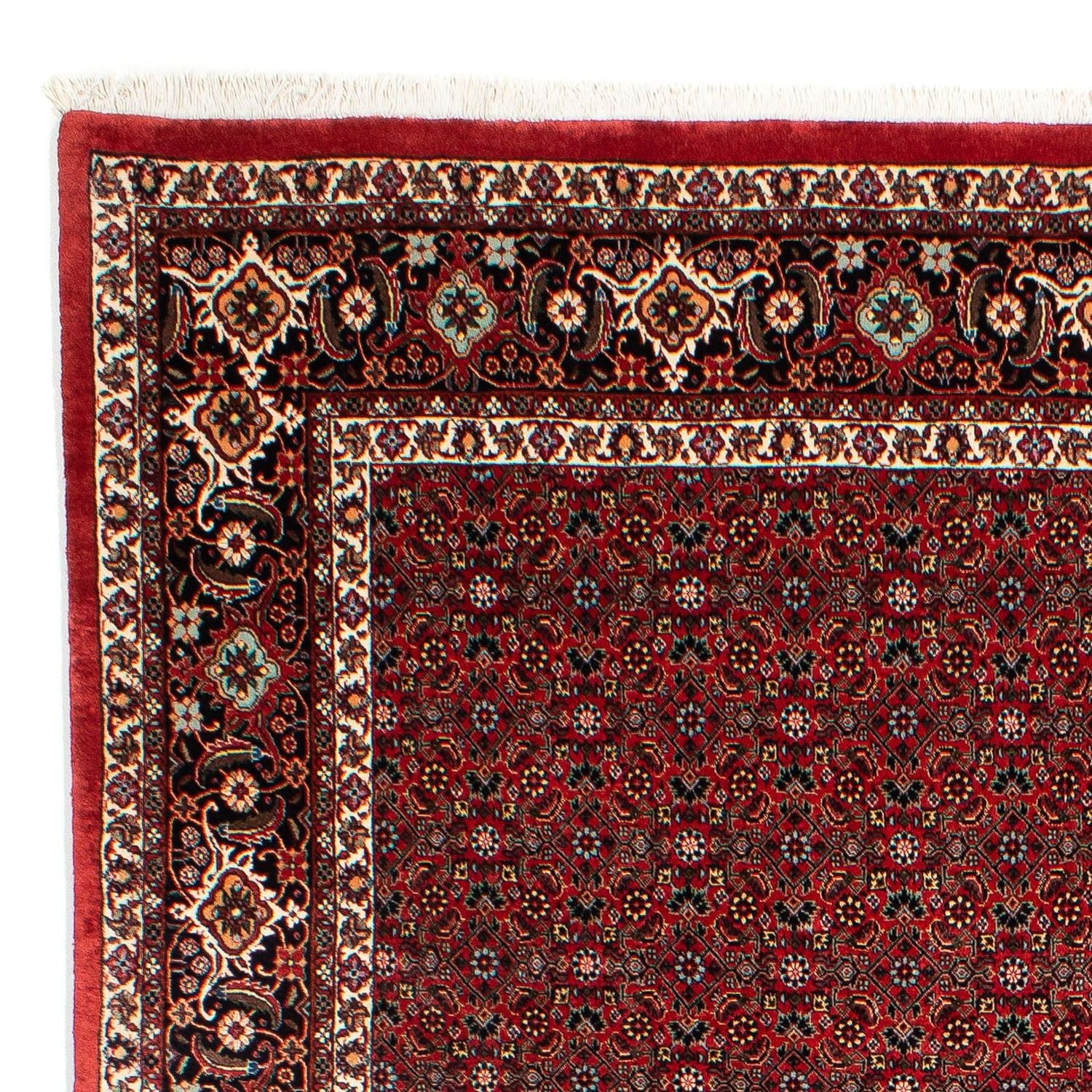 Tapis persan - Bidjar - 295 x 203 cm - rouge foncé