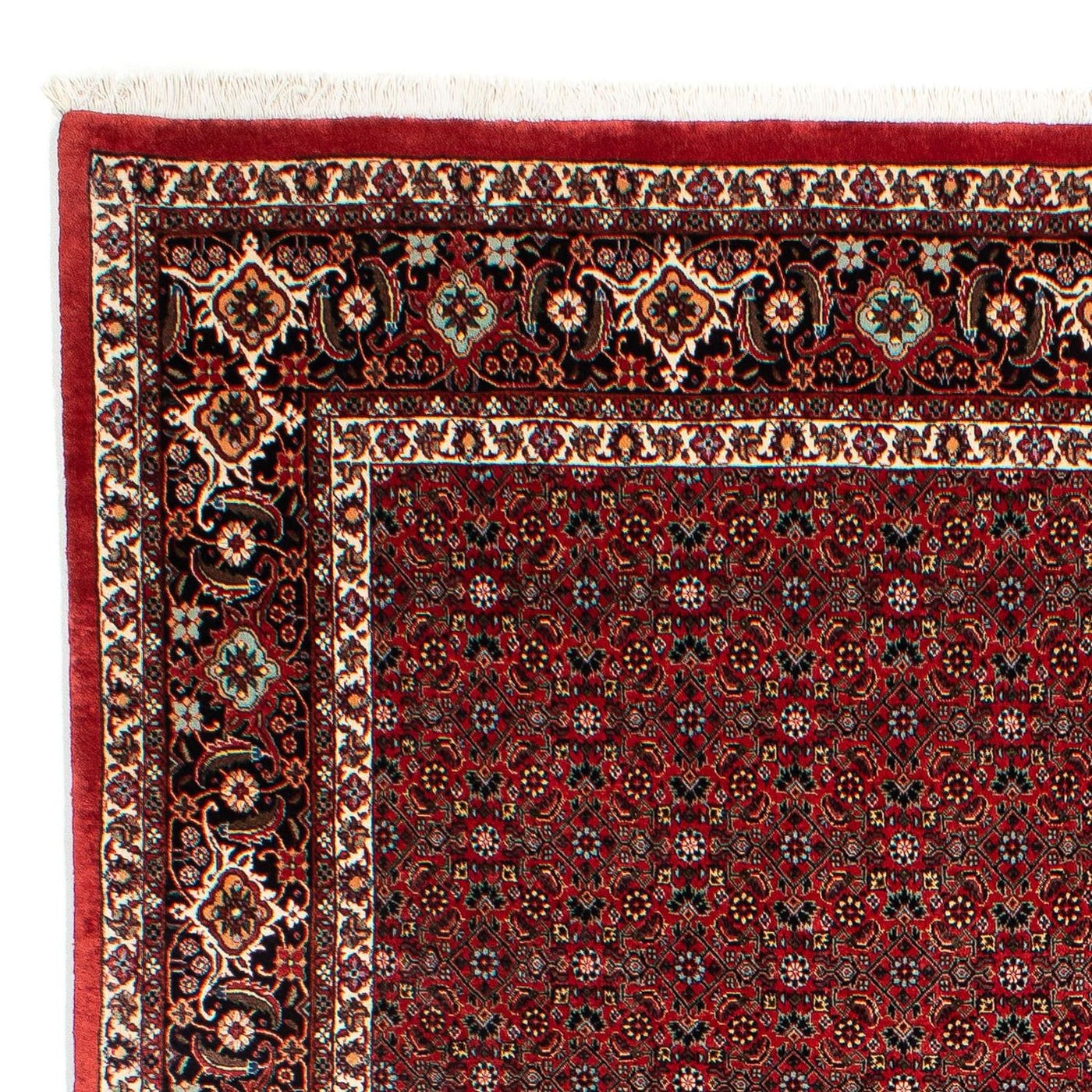 Tapis de Bidjar Tapis 295x203cm - Tapis persan