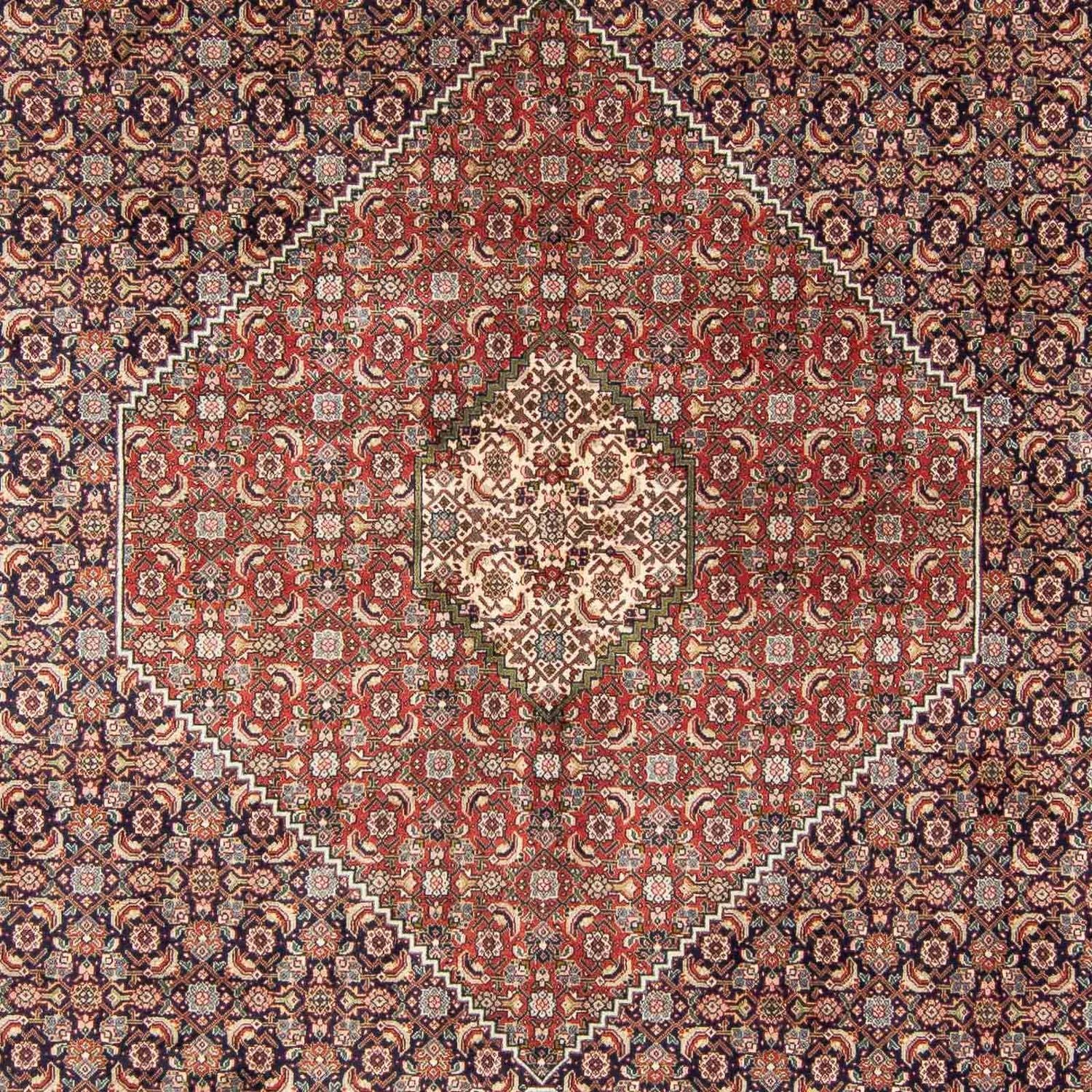 Tapis persan - Tabriz - 343 x 247 cm - multicolore