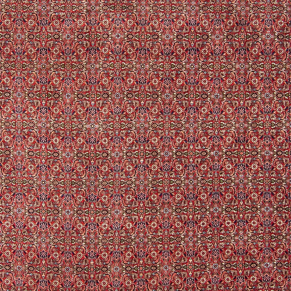 Tapis persan - Bidjar - 300 x 252 cm - rouge foncé