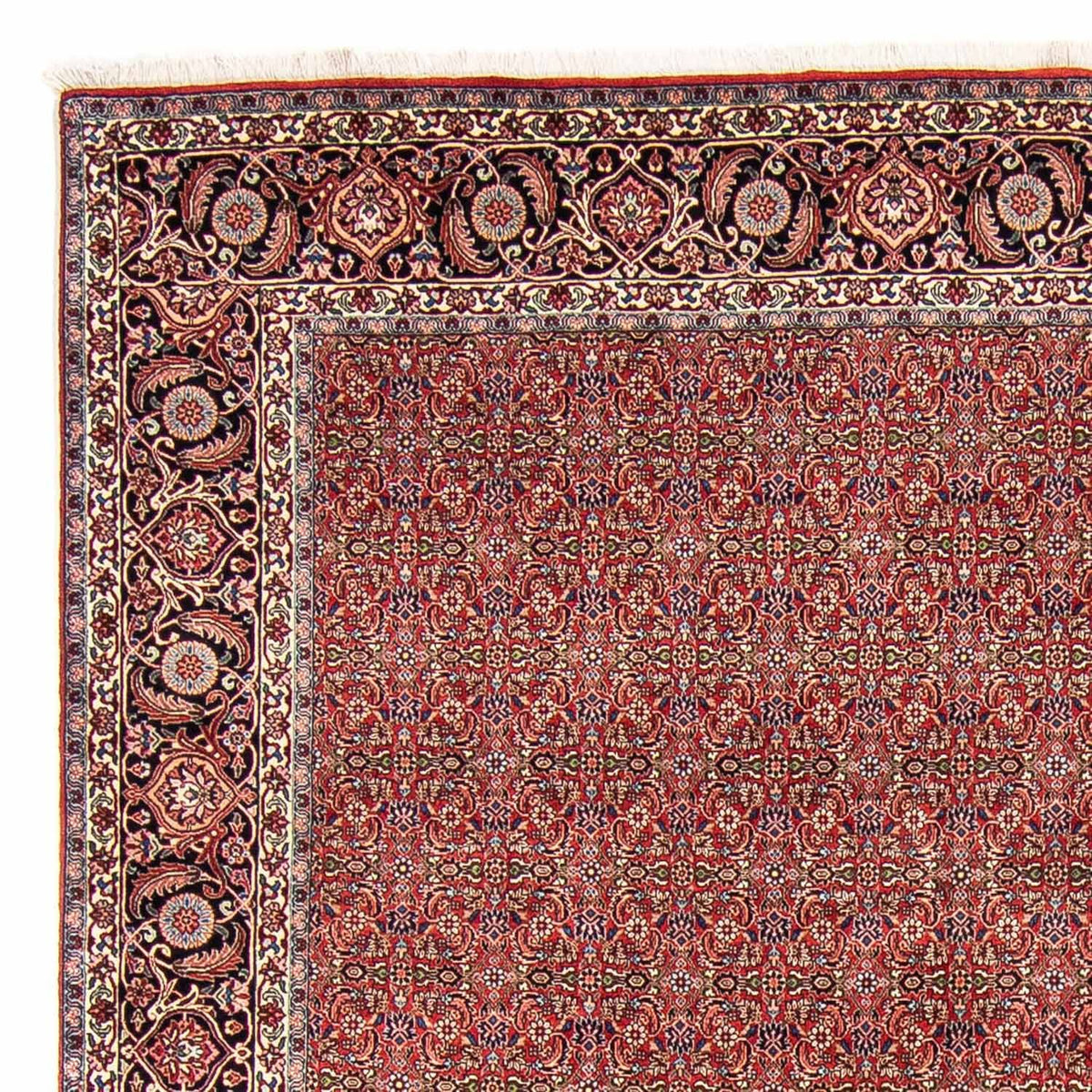 Tapis persan - Bidjar - 300 x 252 cm - rouge foncé