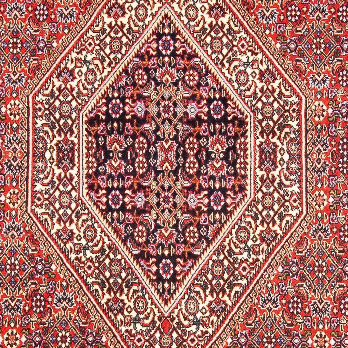 Tapis persan - Bidjar - 182 x 112 cm - rouge clair