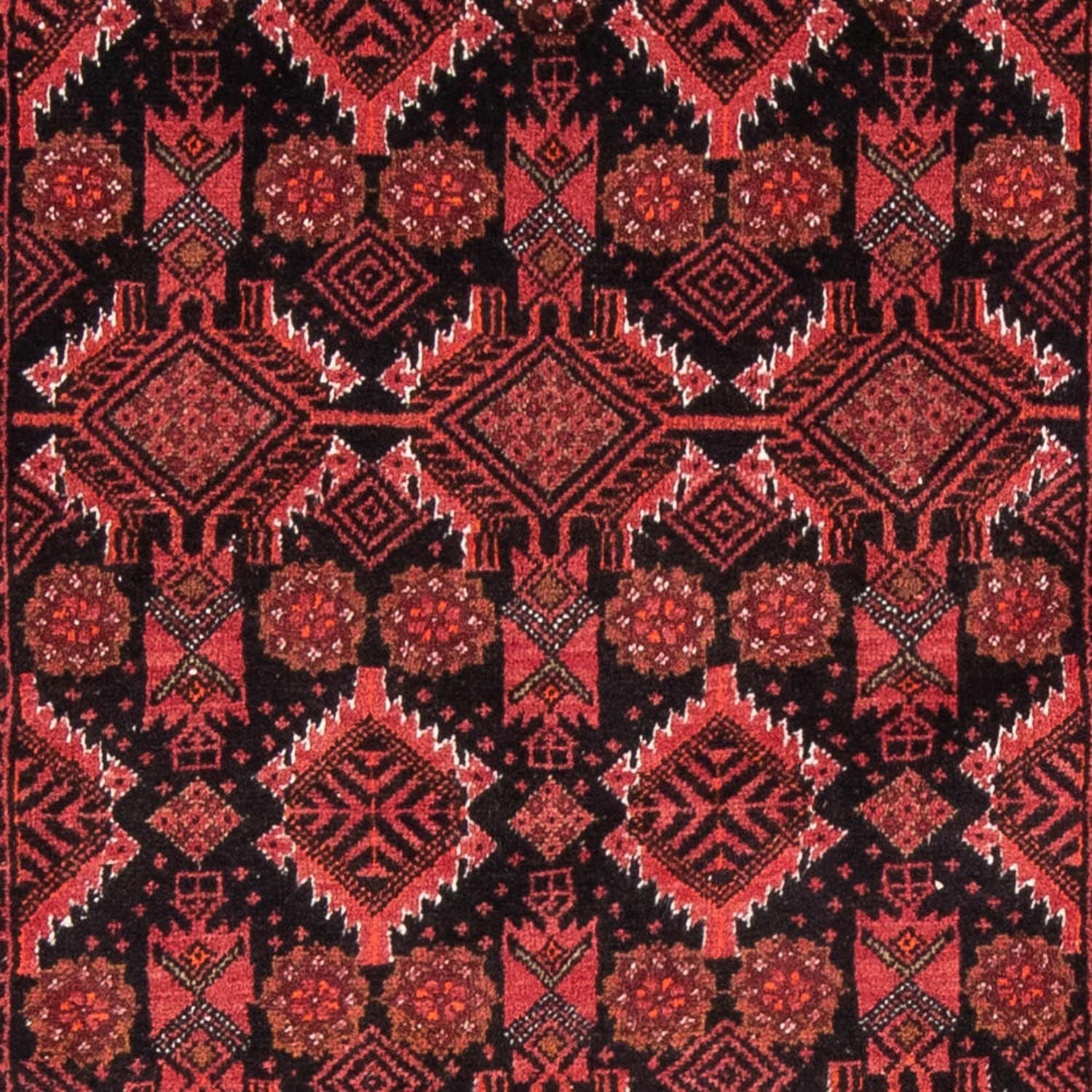 Tapis de couloir Tapis Belutsch - 187 x 99 cm - rouge