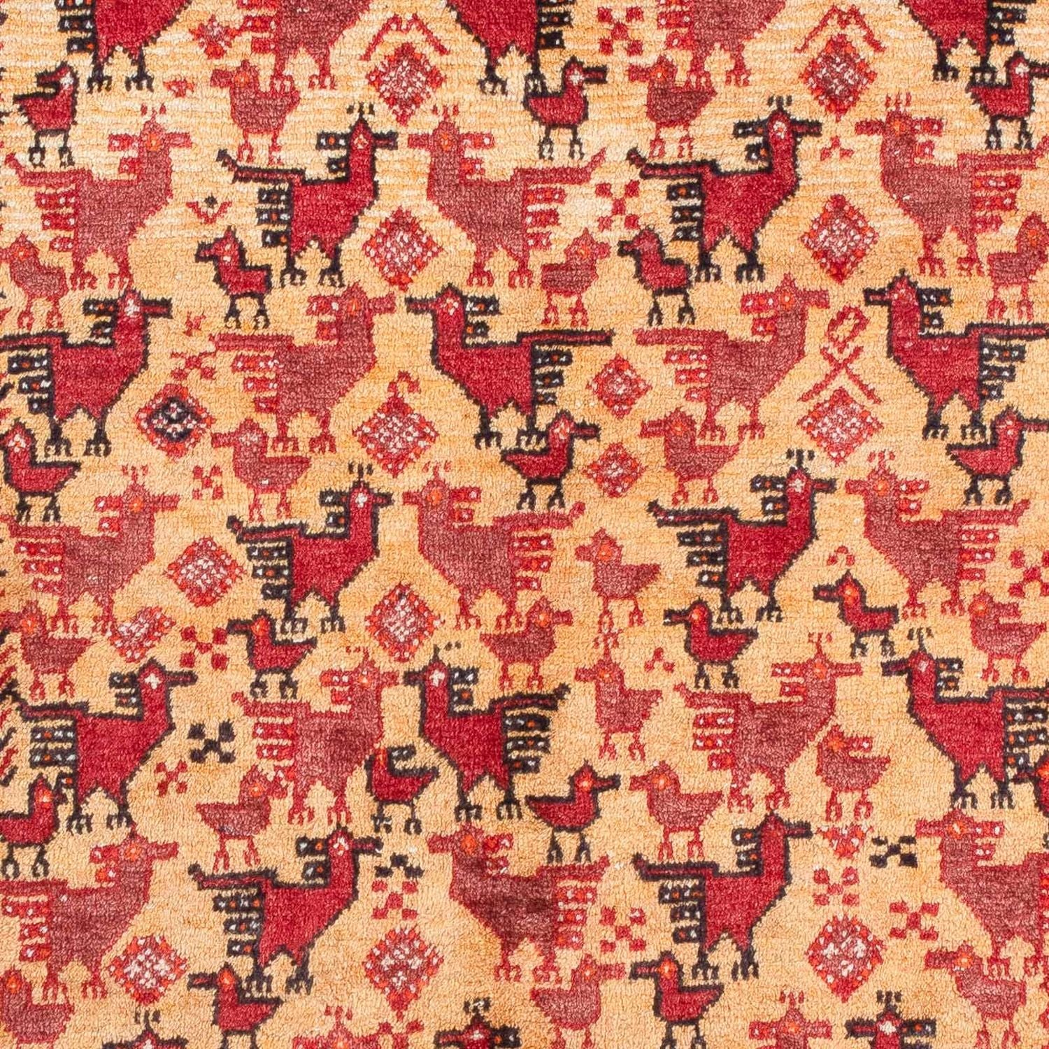 Tapis Belutsch - 167 x 94 cm - beige