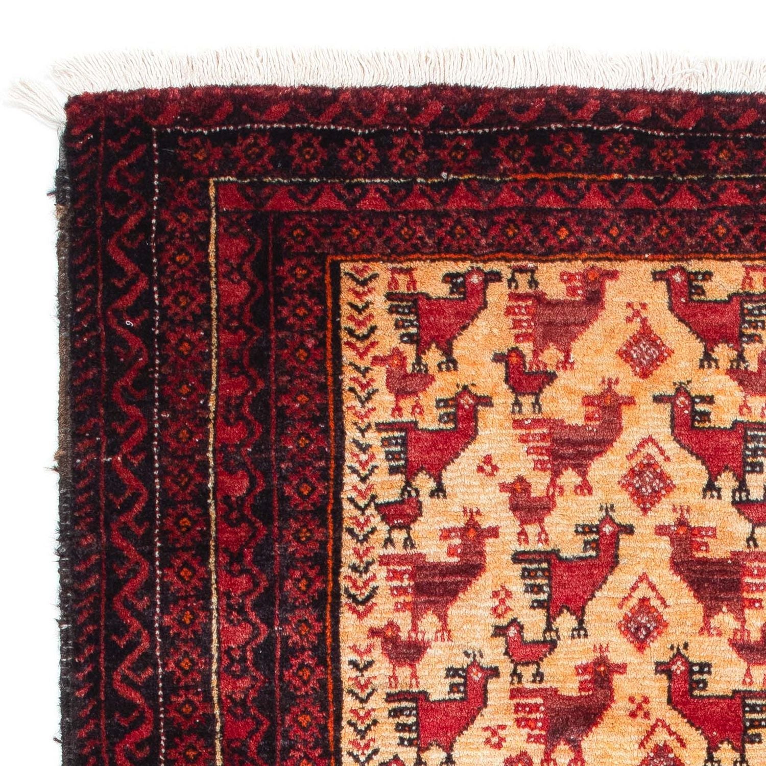 Tapis Belutsch - 167 x 94 cm - beige
