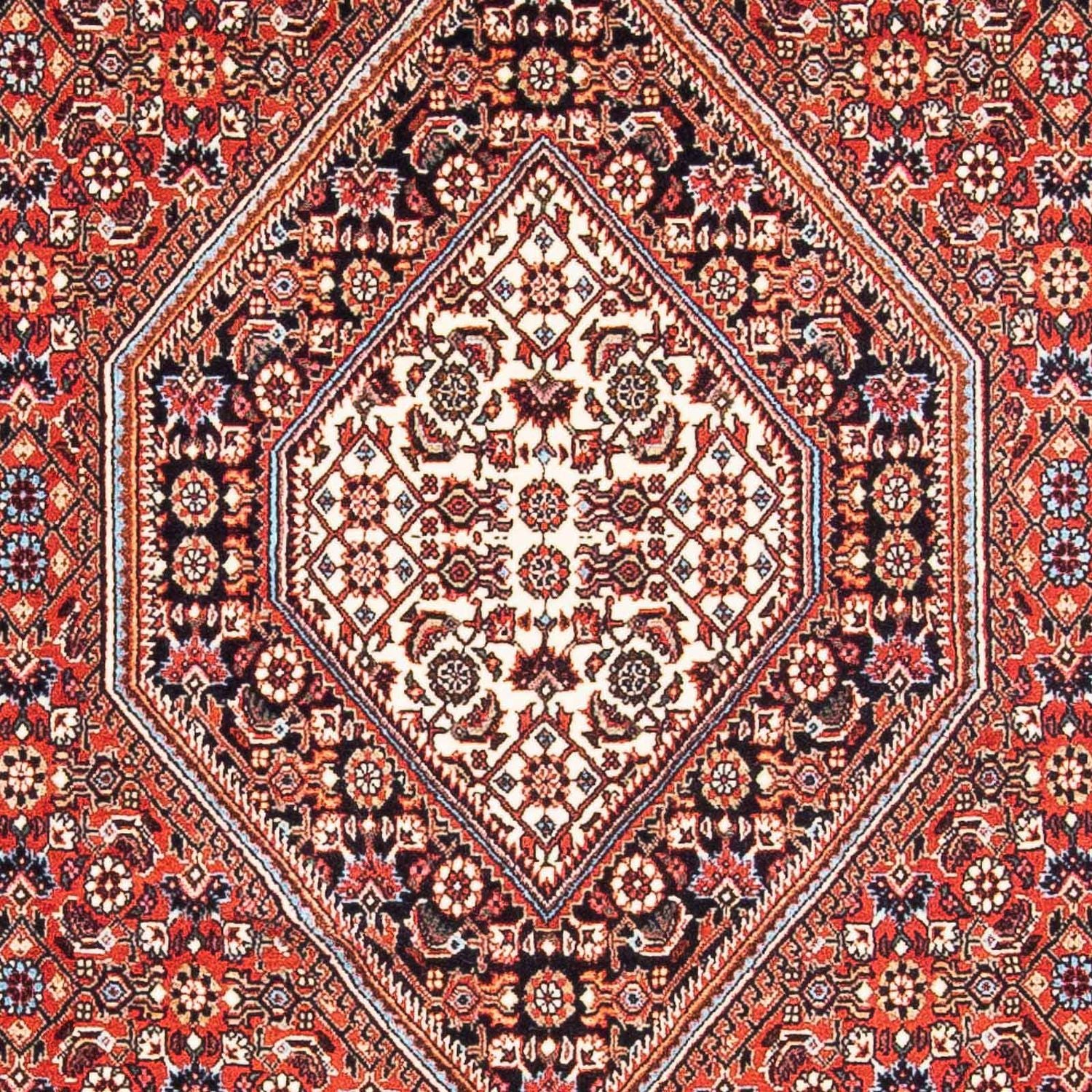 Tapis persan - Bidjar - 186 x 109 cm - rouge