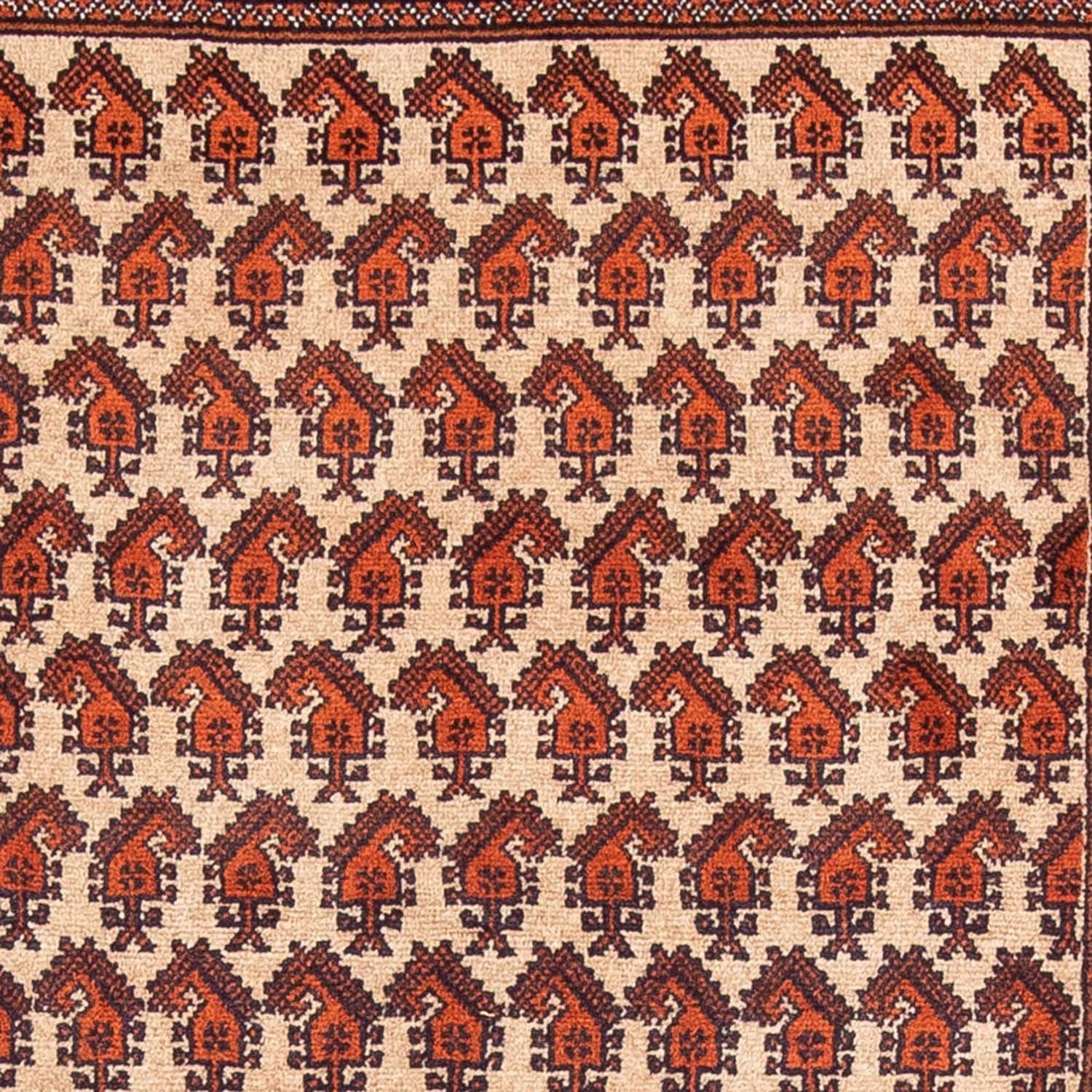 Tapis de couloir Tapis Belutsch - 178 x 100 cm - beige