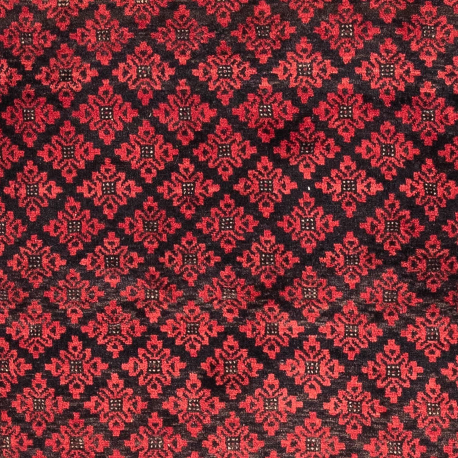 Tapis de couloir Tapis Belutsch - 181 x 100 cm - rouge