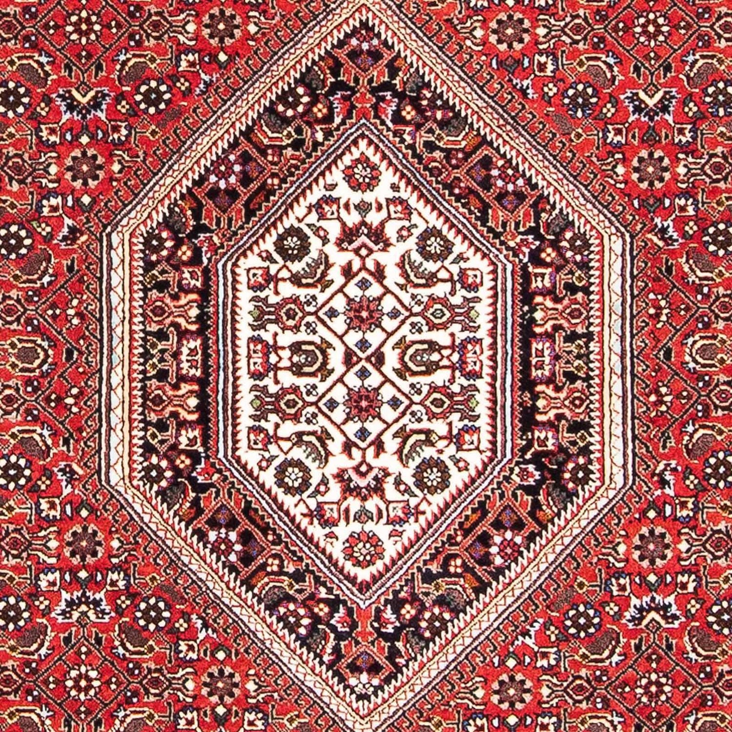 Tapis persan - Bidjar - 167 x 108 cm - rouge