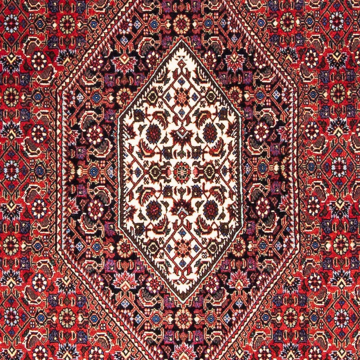Tapis persan - Bidjar - 176 x 112 cm - rouge