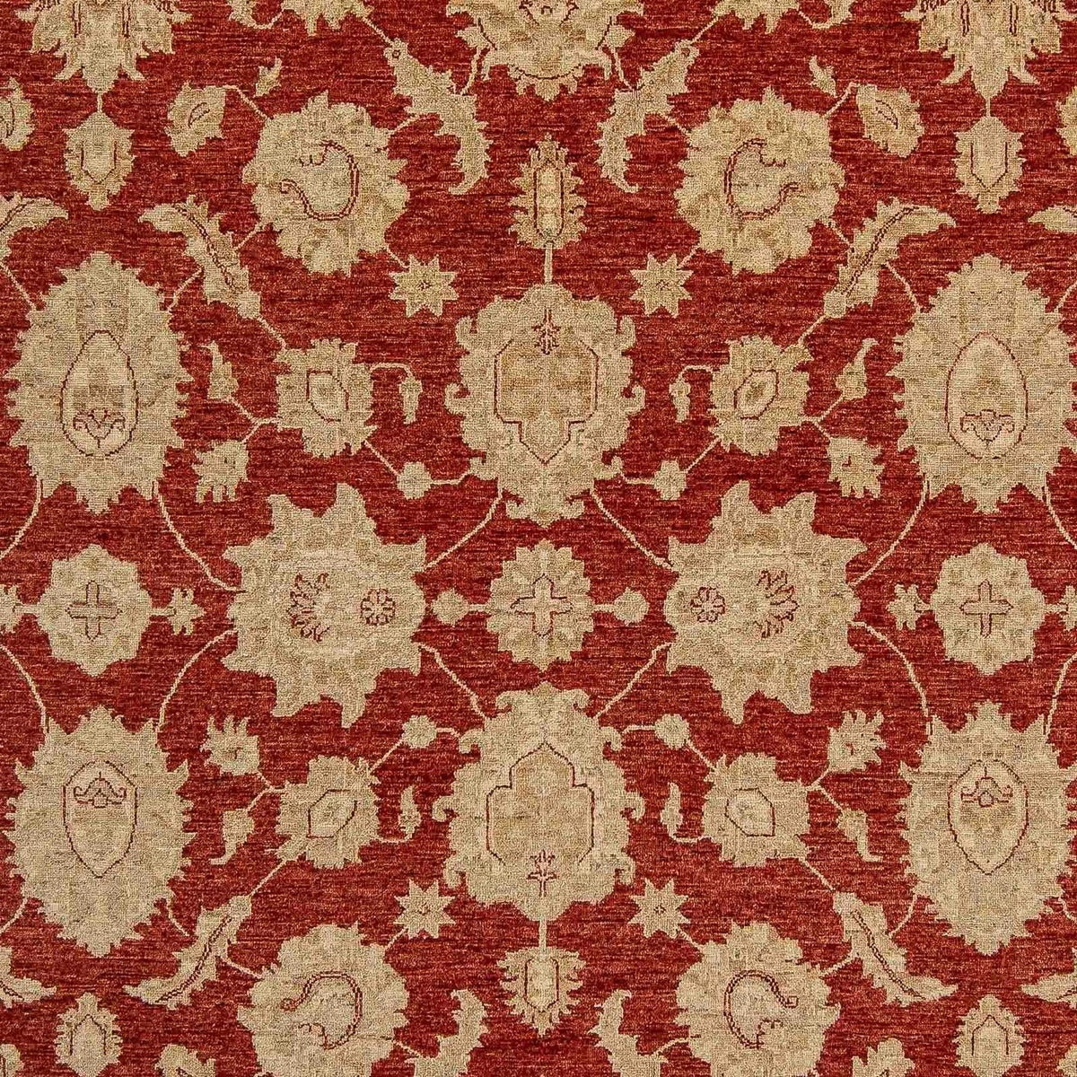 Tapis Ziegler - 321 x 244 cm - rouge foncé