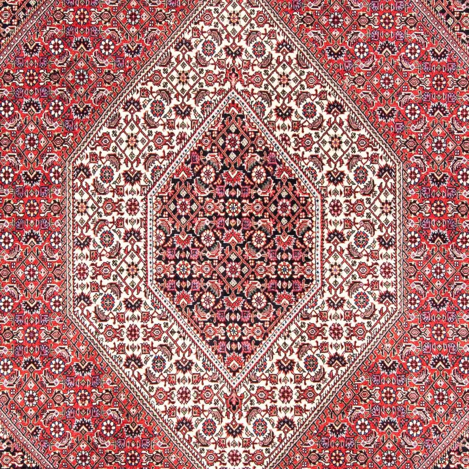 Tapis persan - Bidjar - 243 x 171 cm - rouge clair
