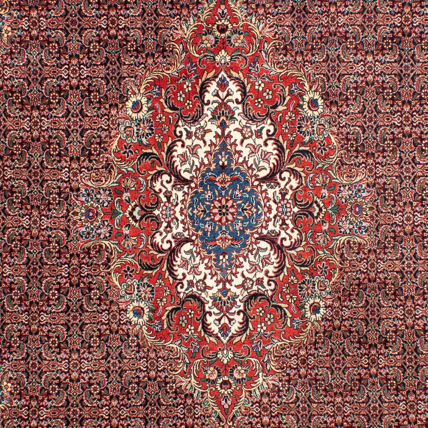 Tapis persan - Bidjar - 304 x 198 cm - rouge clair