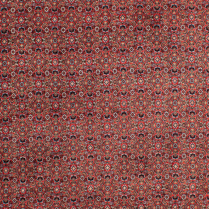Tapis persan - Bidjar - 299 x 203 cm - rouge clair