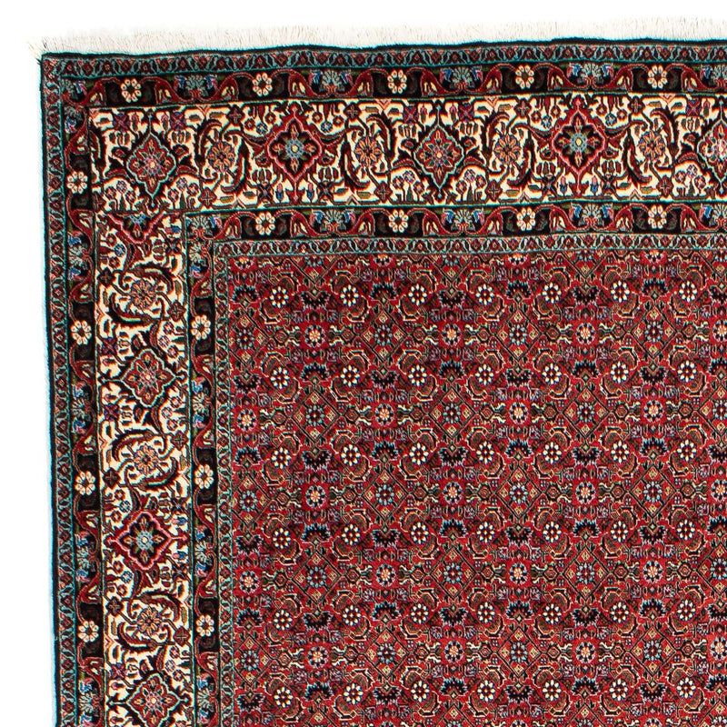 Tapis persan - Bidjar - 299 x 203 cm - rouge clair