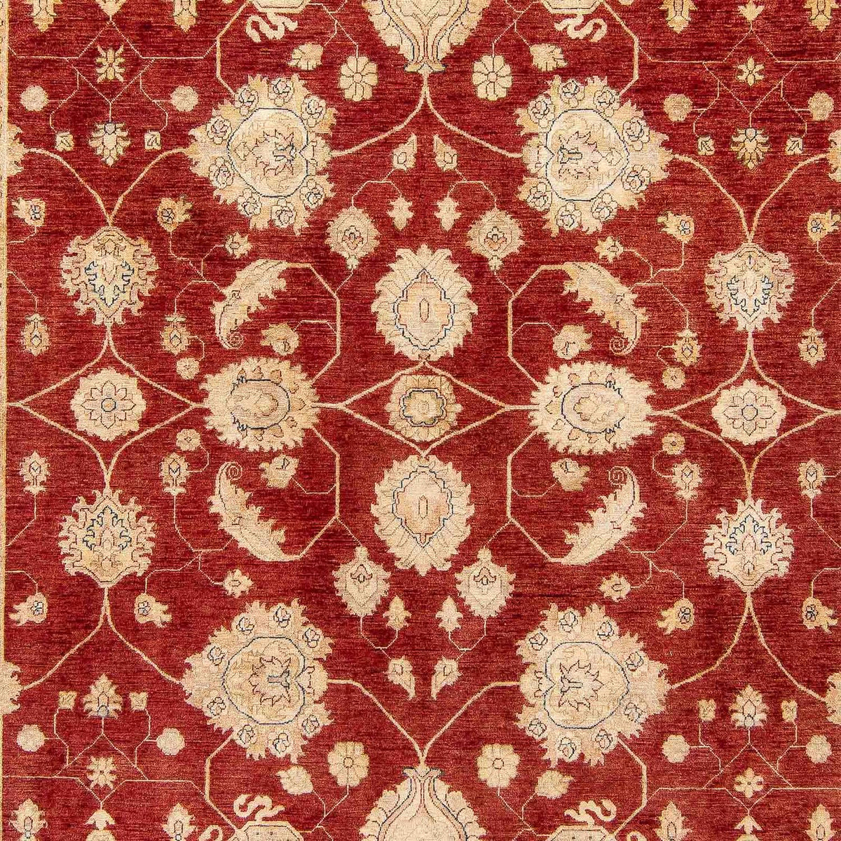 Tapis Ziegler - 390 x 295 cm - rouge foncé