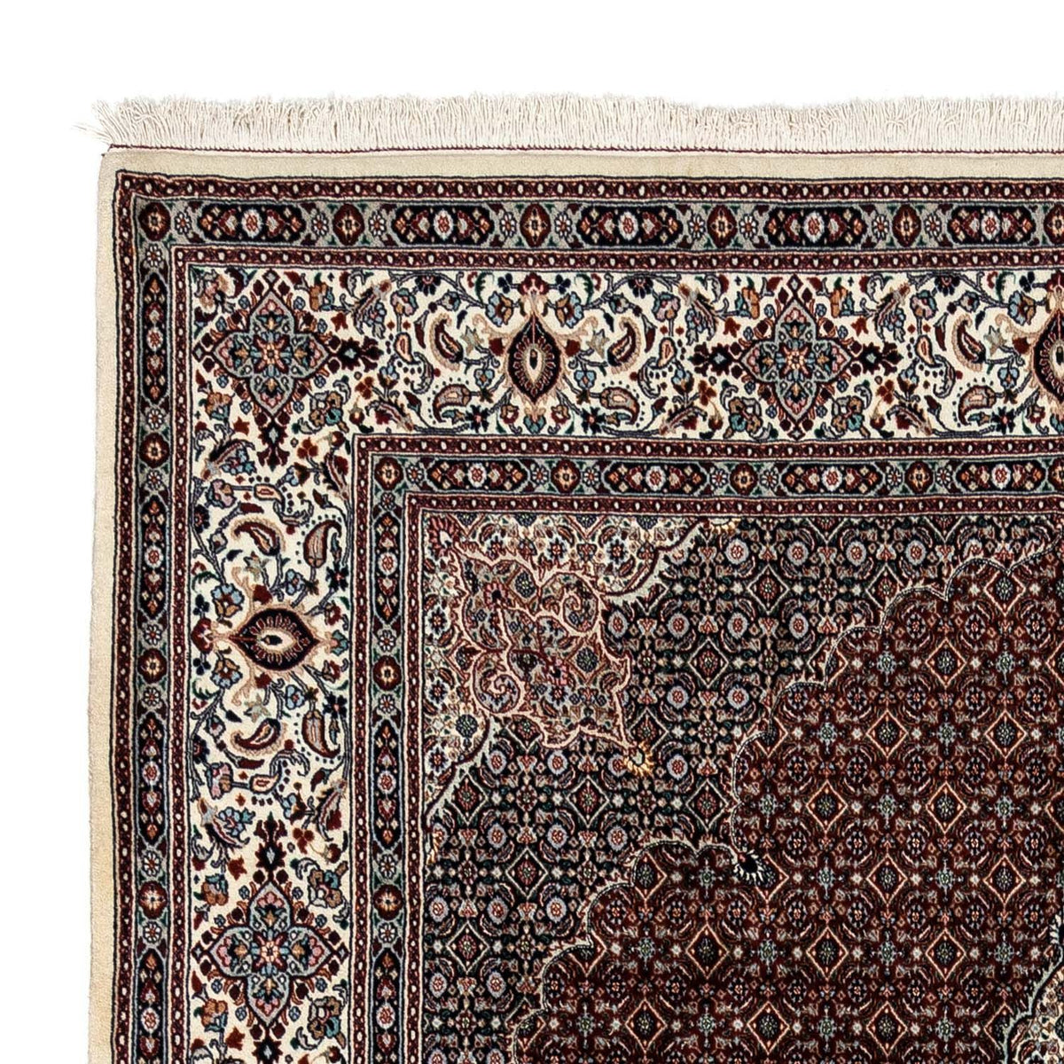 Tapis de Moud Tapis 245x344cm - Tapis persan