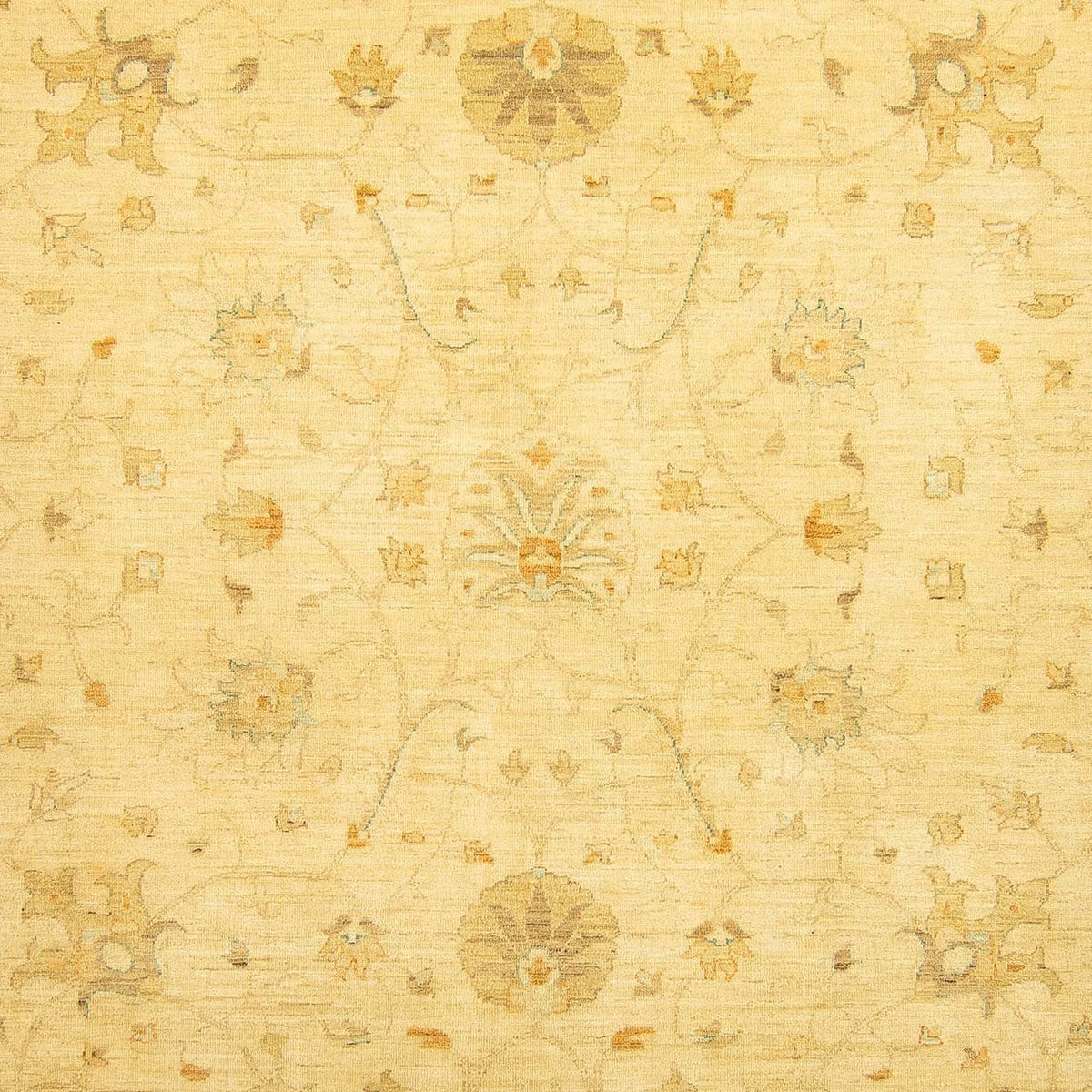 Tapis Ziegler - 349 x 274 cm - beige