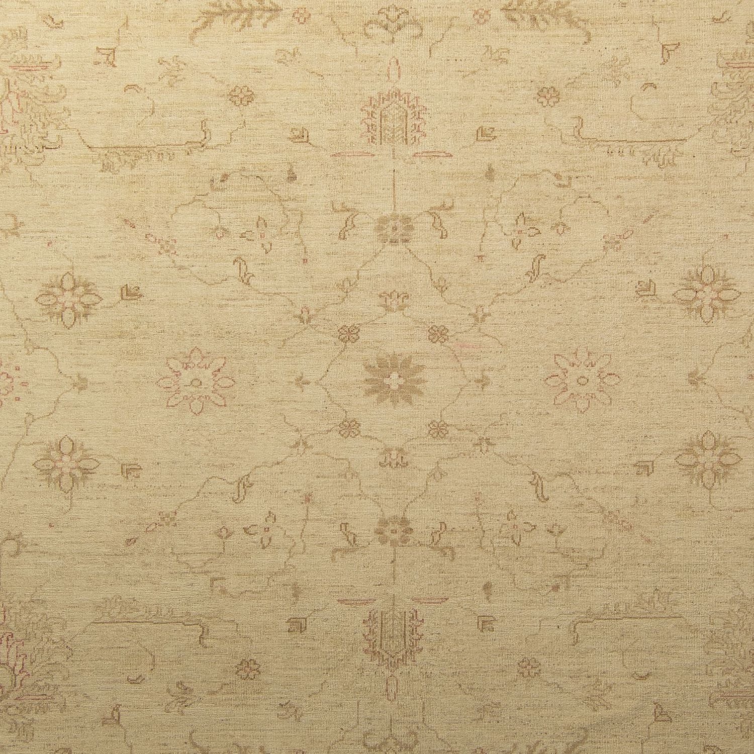 Tapis Ziegler - 339 x 245 cm - beige clair