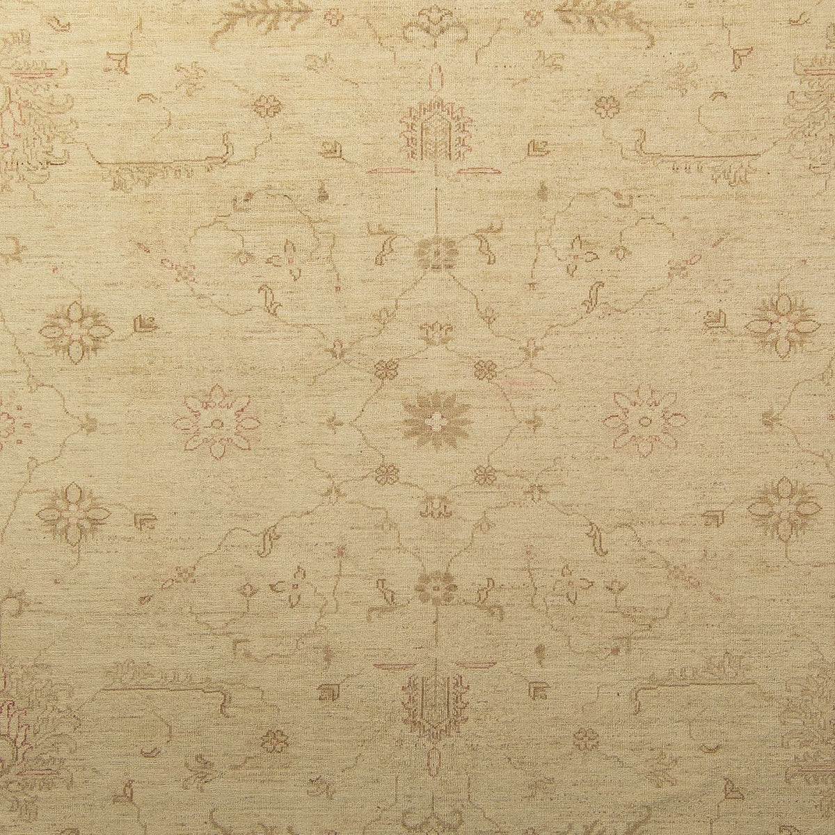 Tapis Ziegler - 339 x 245 cm - beige clair