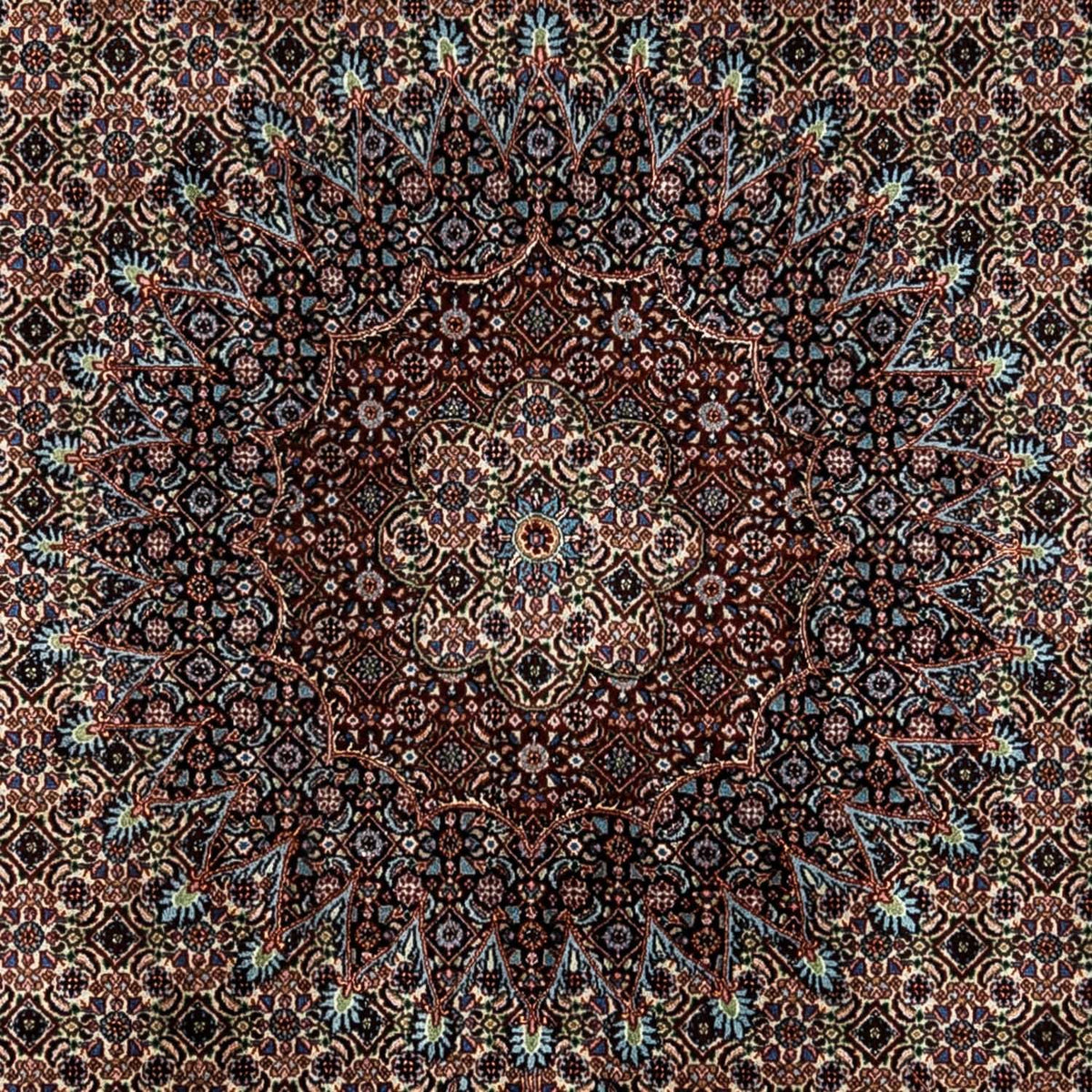 Tapis persan - Classique - 346 x 250 cm - beige