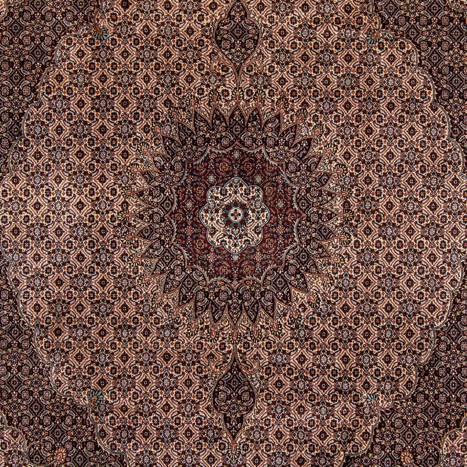 Tapis persan - Classique - 305 x 251 cm - marron foncé