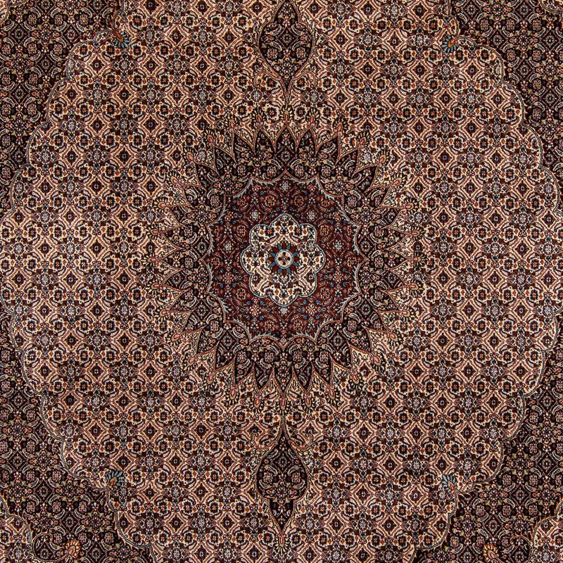 Tapis persan - Classique - 305 x 251 cm - marron foncé