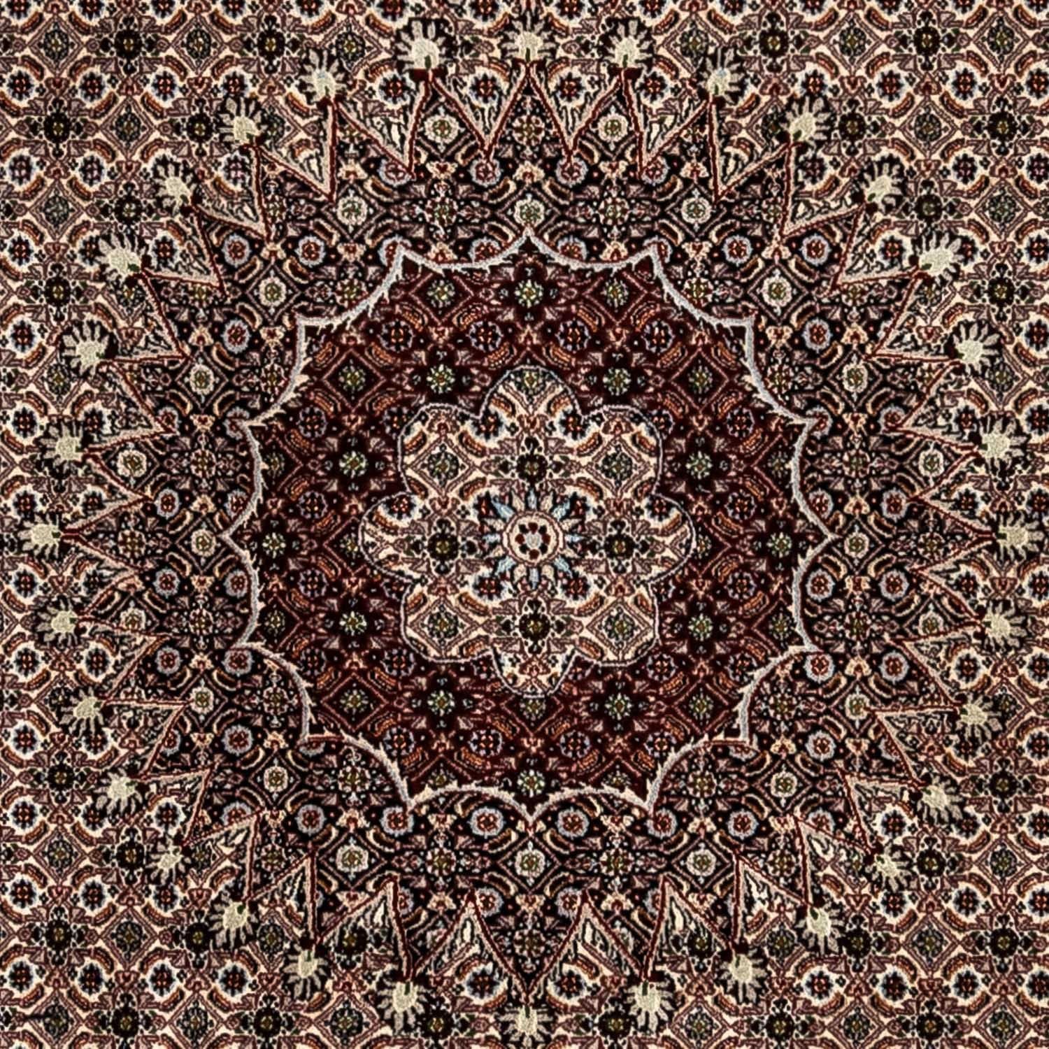 Tapis persan - Classique - 328 x 245 cm - beige