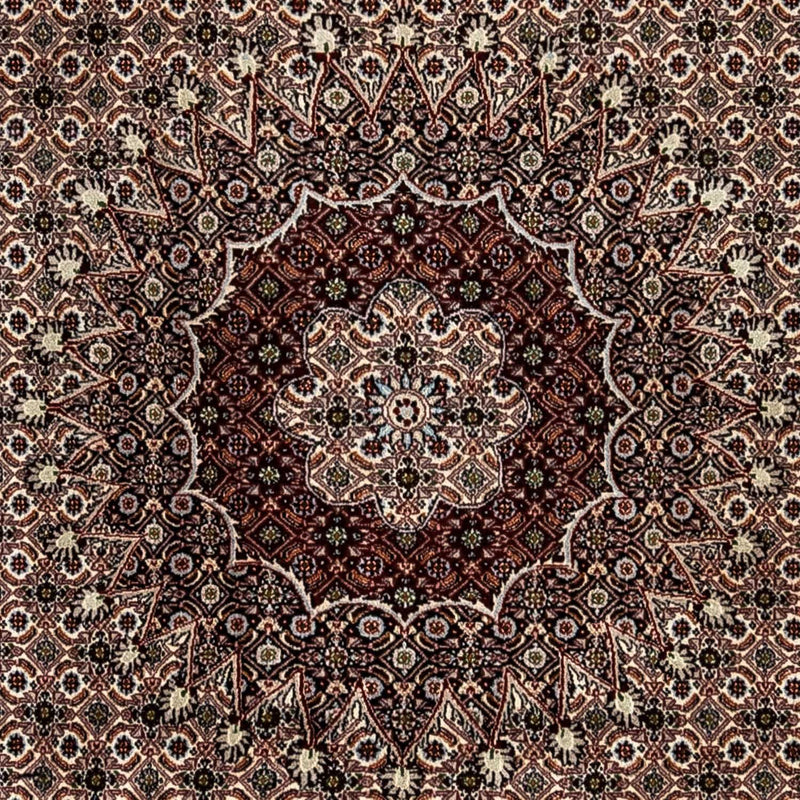 Tapis persan - Classique - 328 x 245 cm - beige