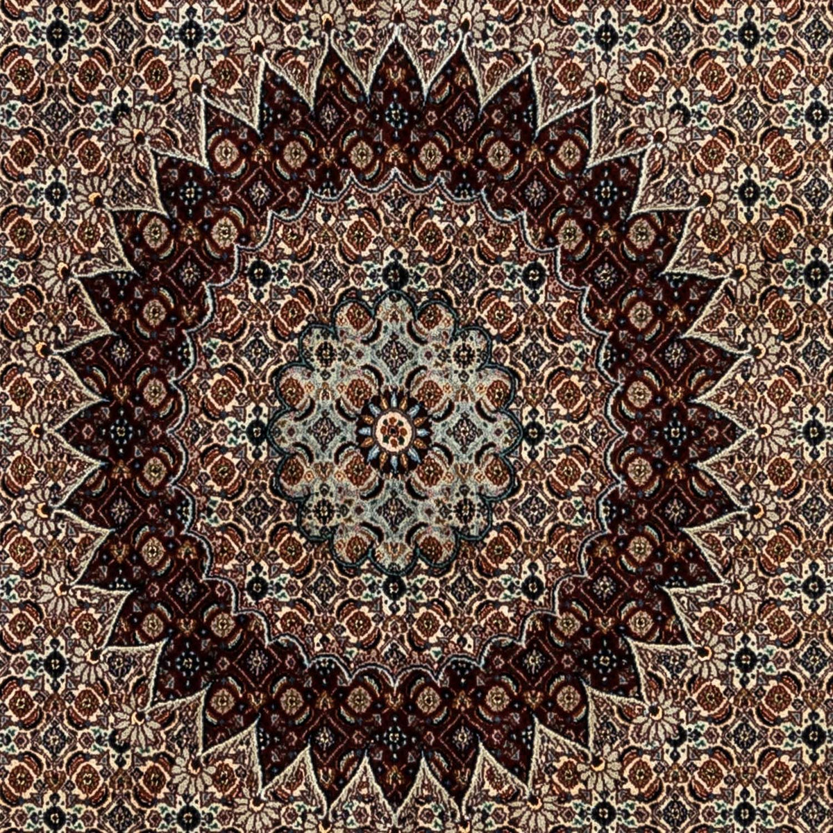 Tapis persan - Classique - 347 x 249 cm - beige