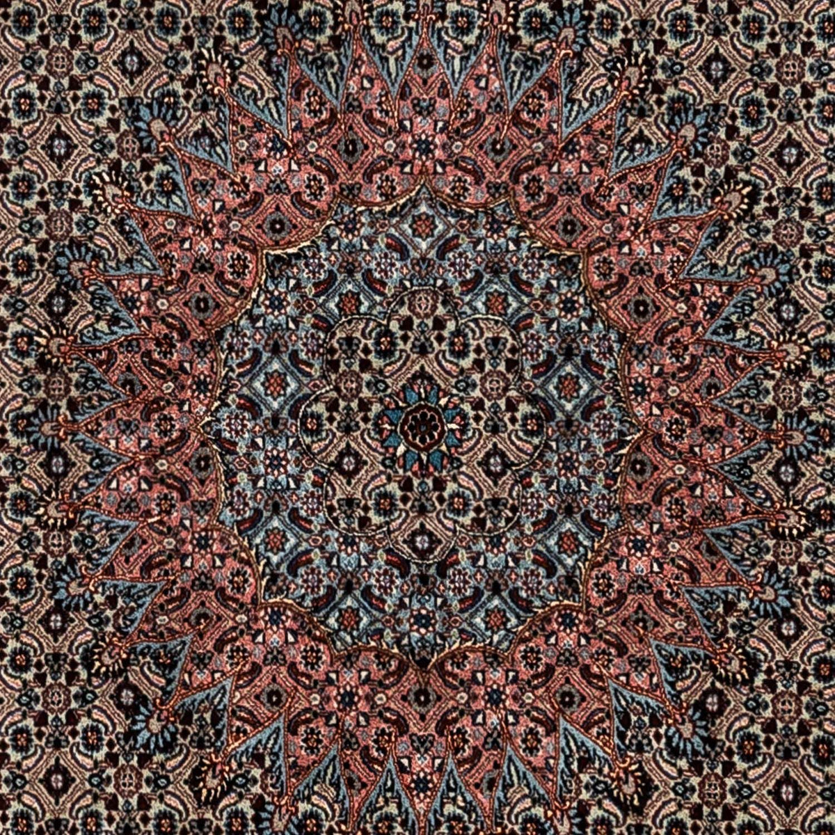 Tapis persan - Classique - 347 x 252 cm - chocolat clair