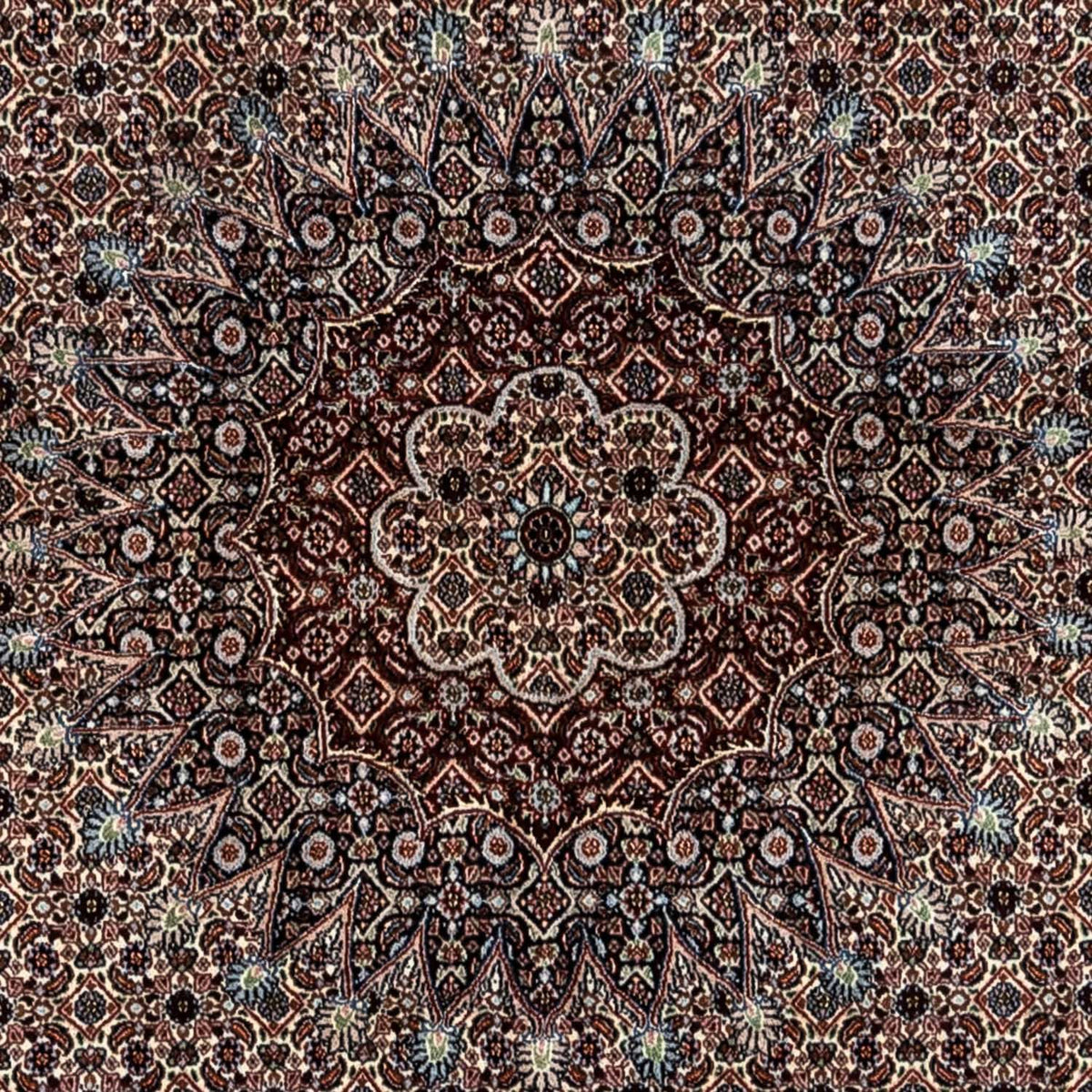 Tapis persan - Classique - 344 x 246 cm - beige