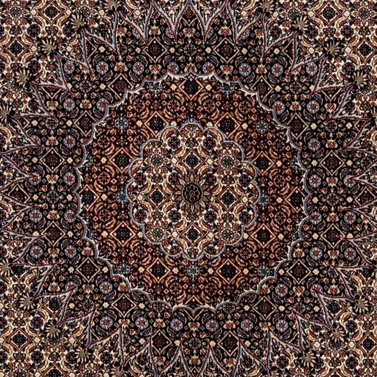 Tapis persan - Classique - 345 x 253 cm - beige