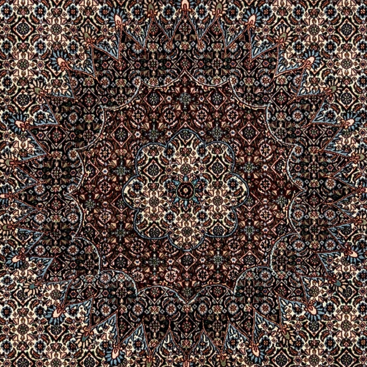 Tapis persan - Classique - 353 x 250 cm - beige