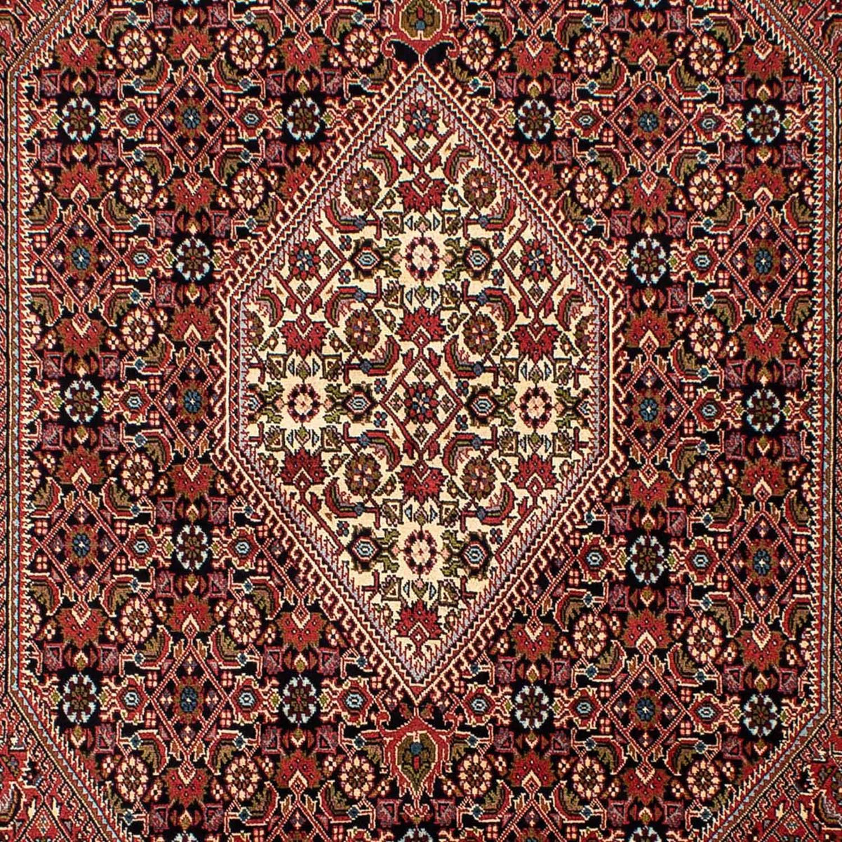 Tapis persan - Bidjar - 270 x 171 cm - marron