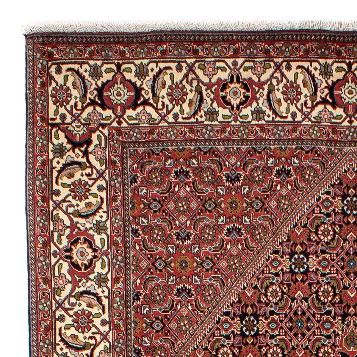 Tapis persan - Bidjar - 270 x 171 cm - marron