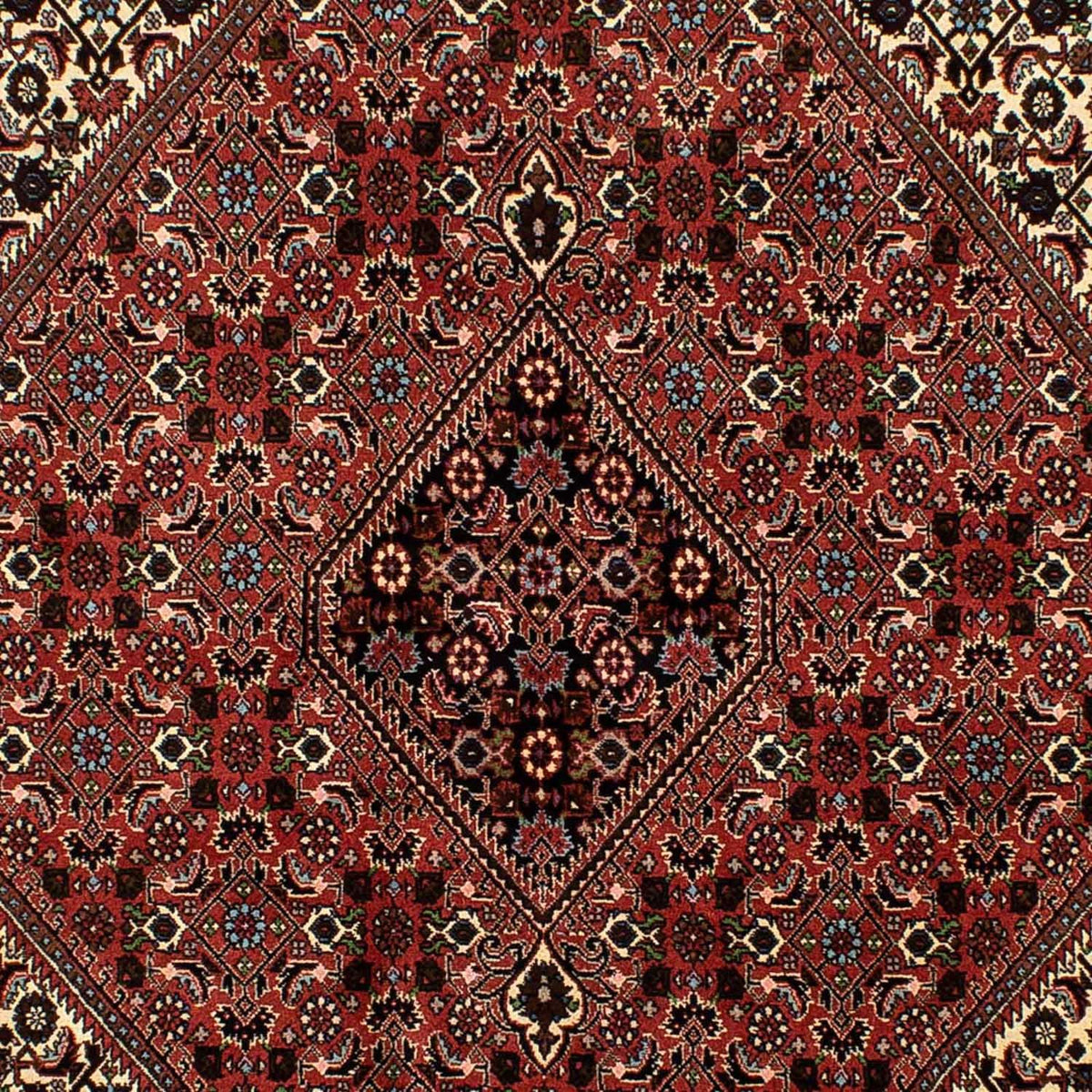Tapis persan - Bidjar - 244 x 171 cm - rouge foncé