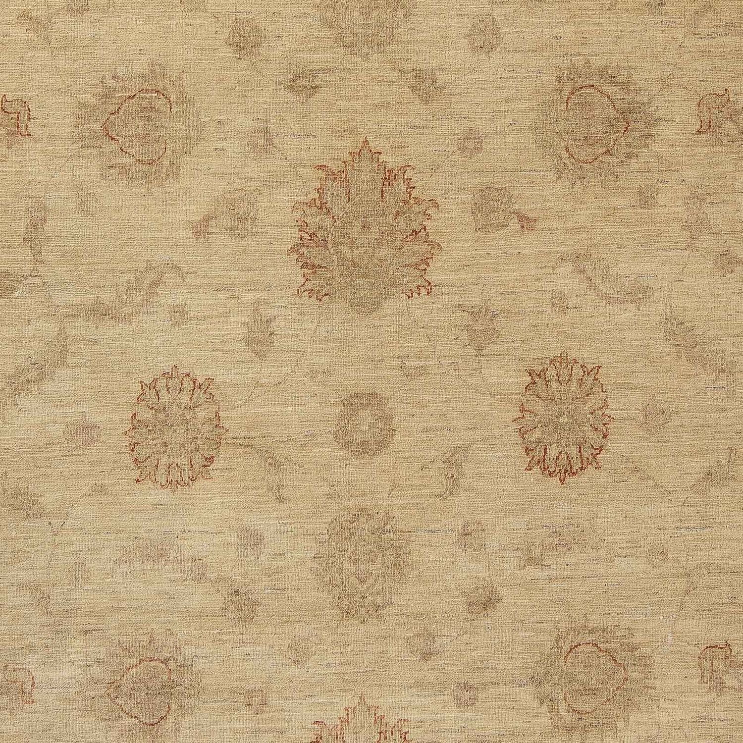 Tapis Ziegler - 300 x 239 cm - marron clair
