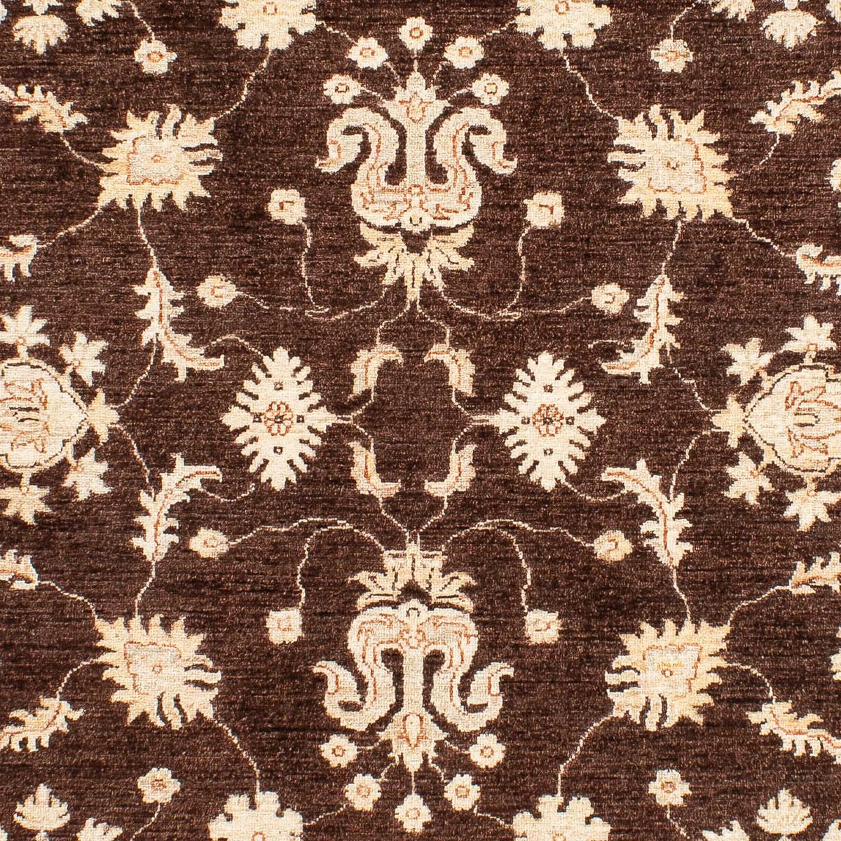 Tapis Ziegler - 235 x 164 cm - marron