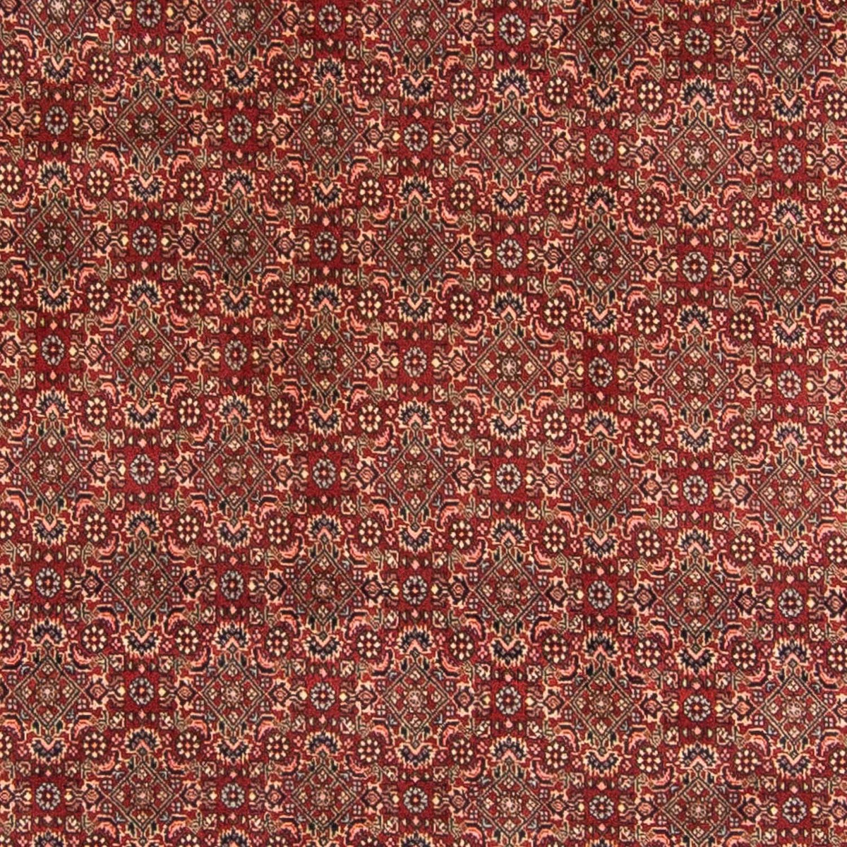 Tapis persan - Bidjar - 298 x 200 cm - rouge foncé