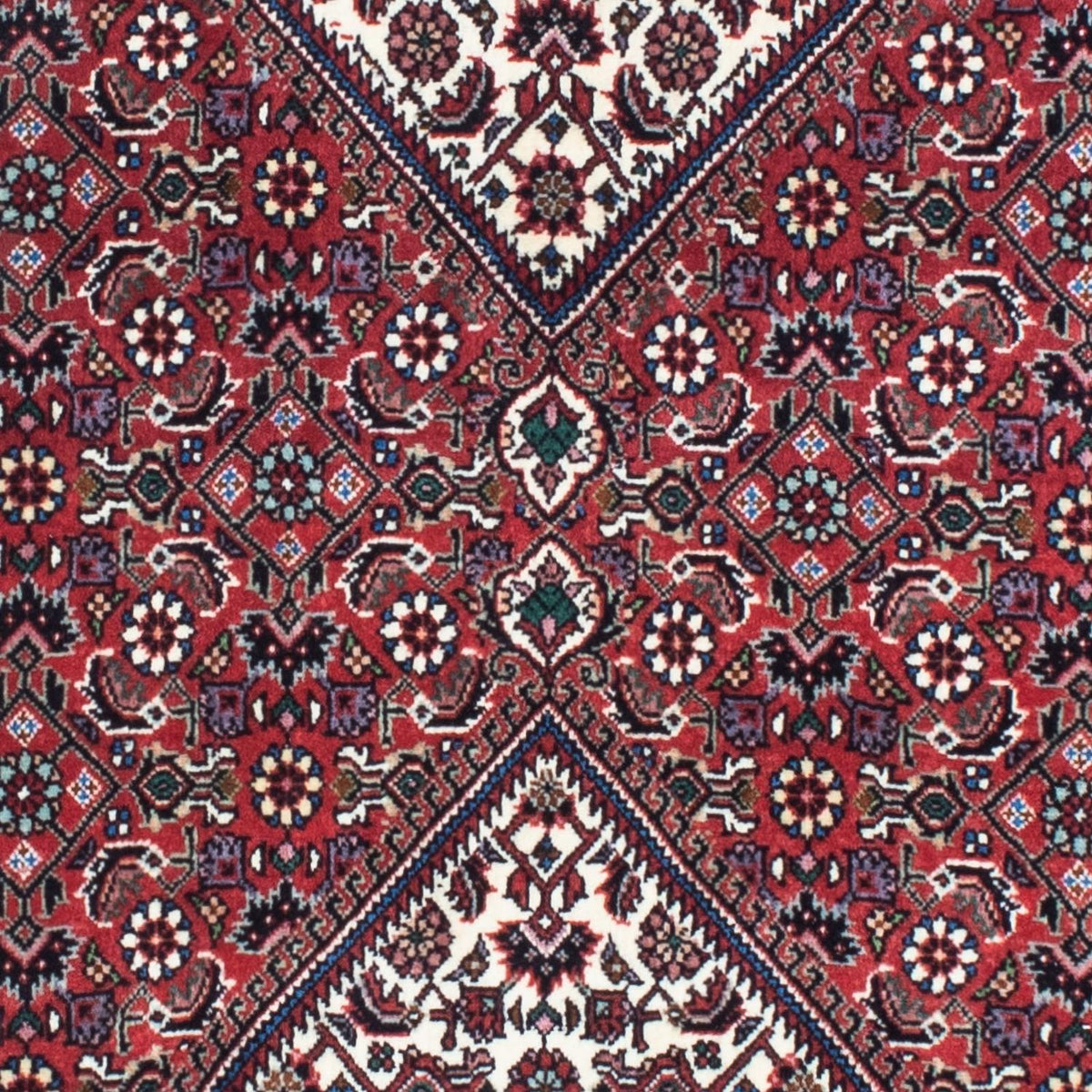 Tapis de couloir Tapis persan - Bidjar - 208 x 73 cm - rouge