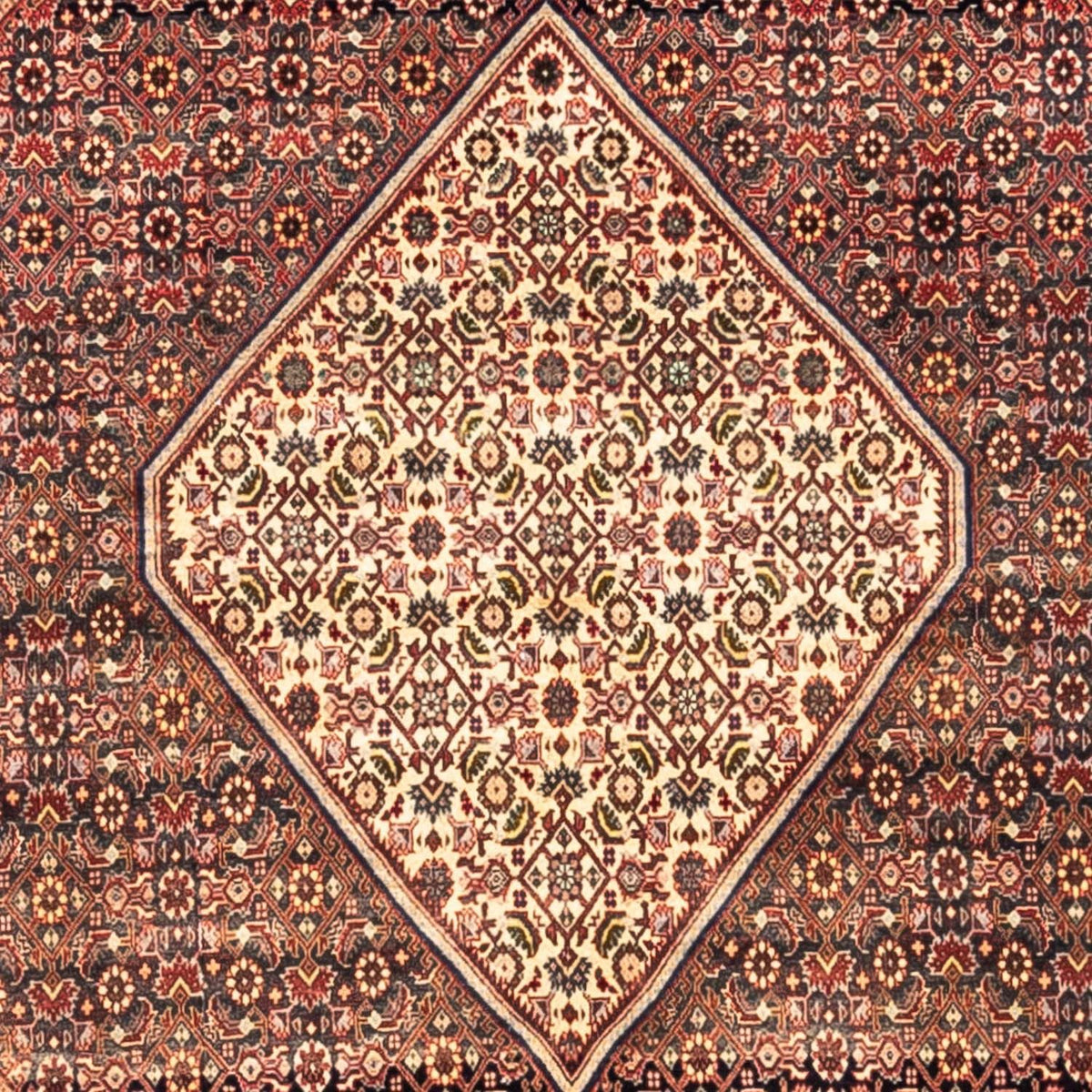Tapis persan - Bidjar carré  - 208 x 198 cm - rouge