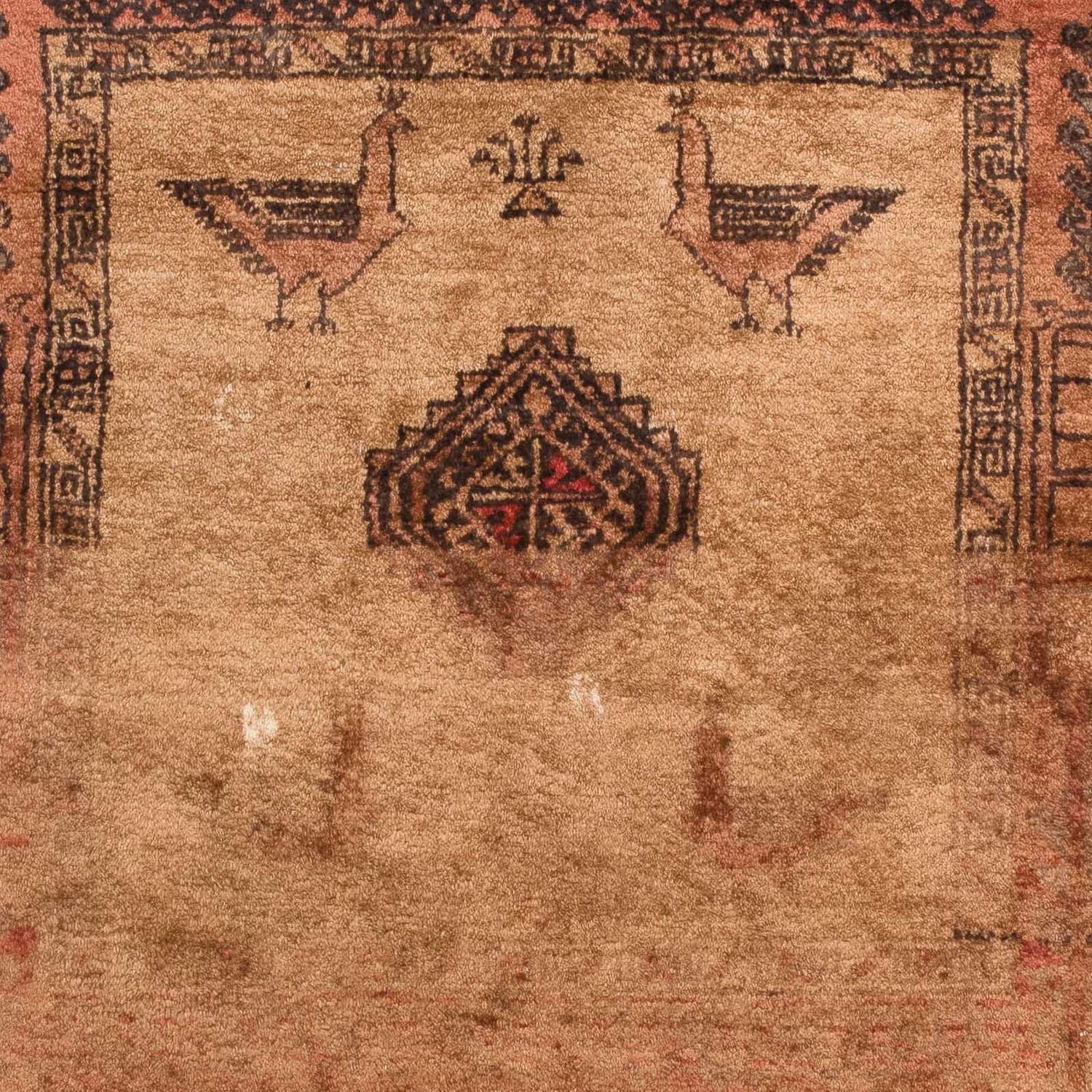 Tapis Belutsch - 172 x 105 cm - marron