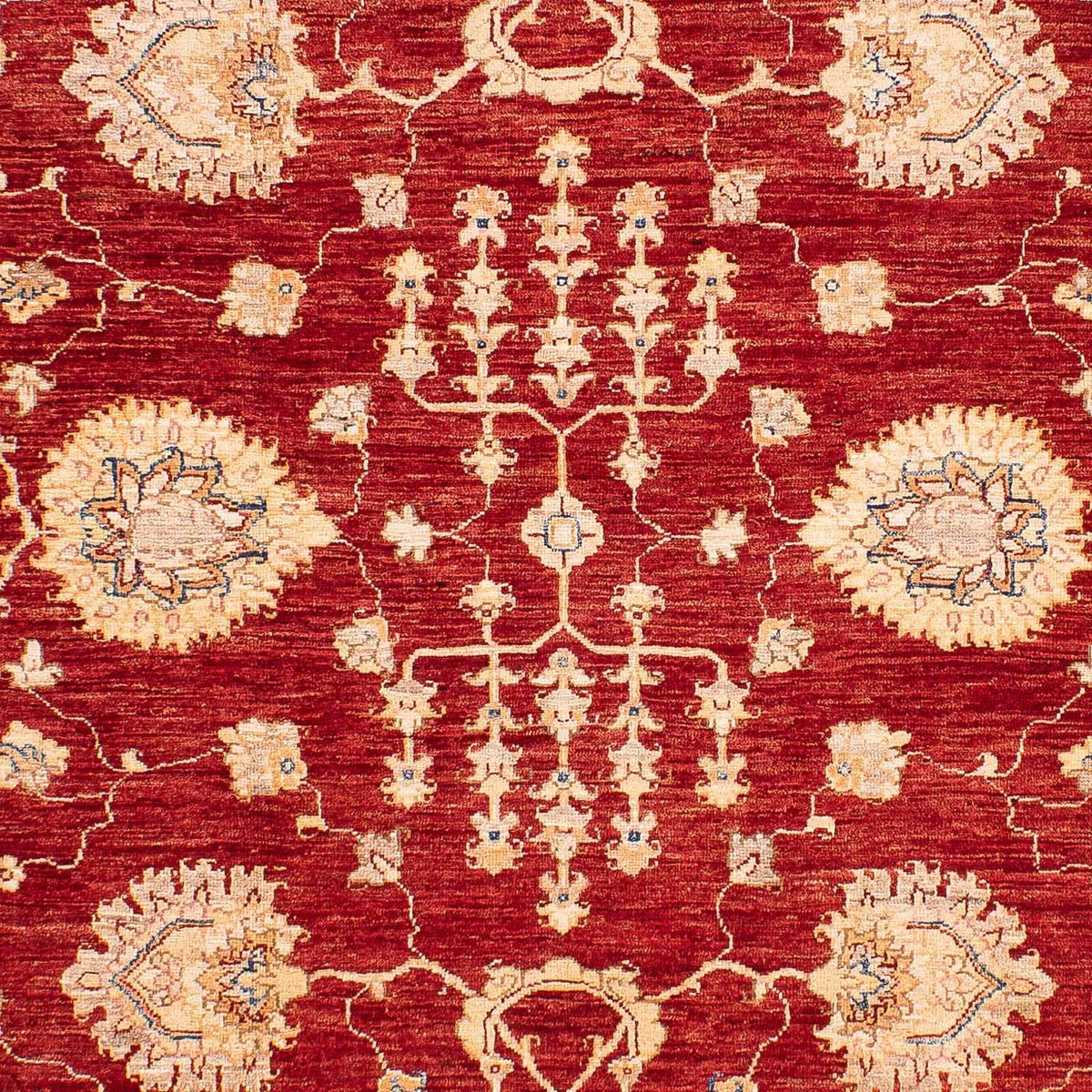 Tapis Ziegler - 218 x 169 cm - bleu foncé