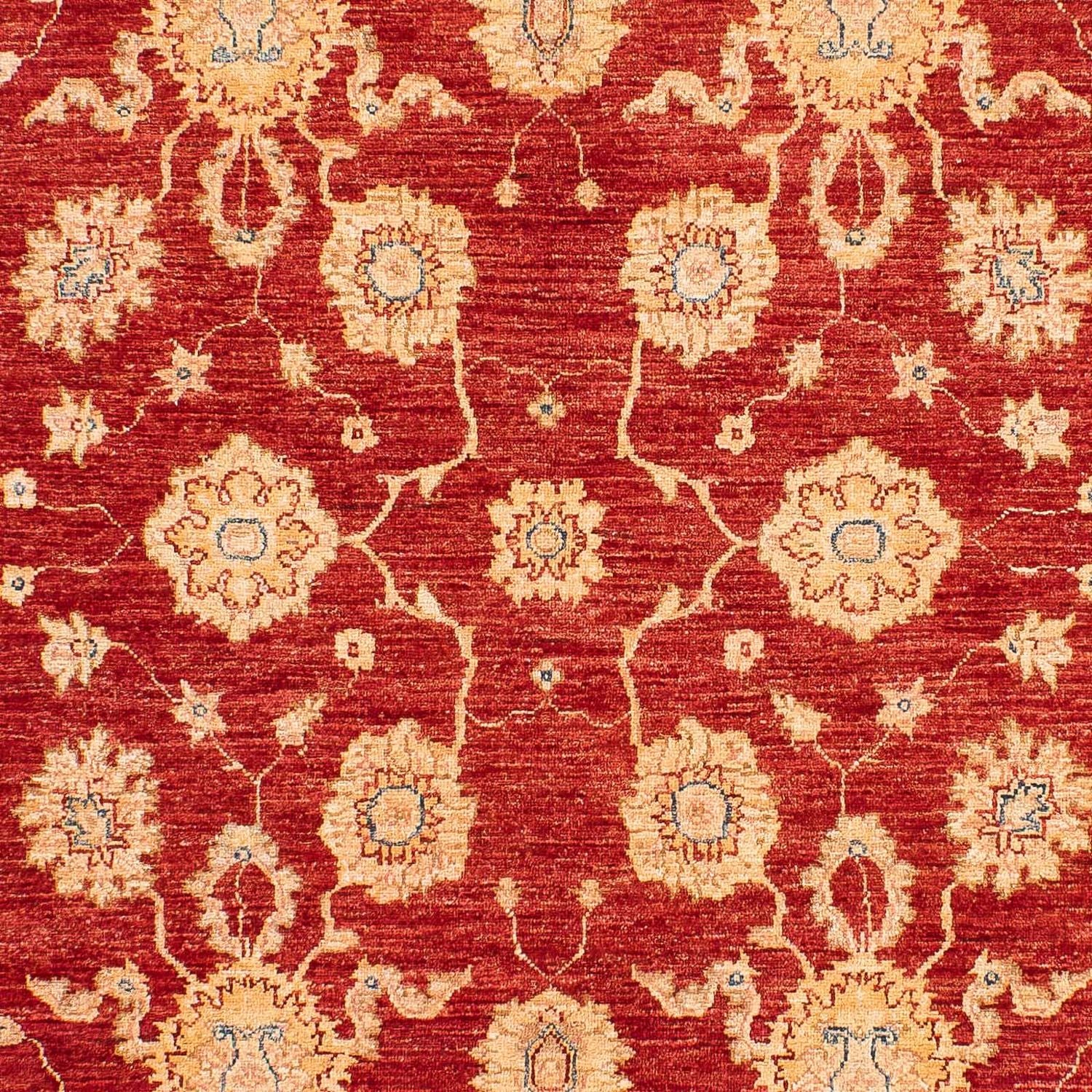 Tapis Ziegler - 245 x 163 cm - rouge