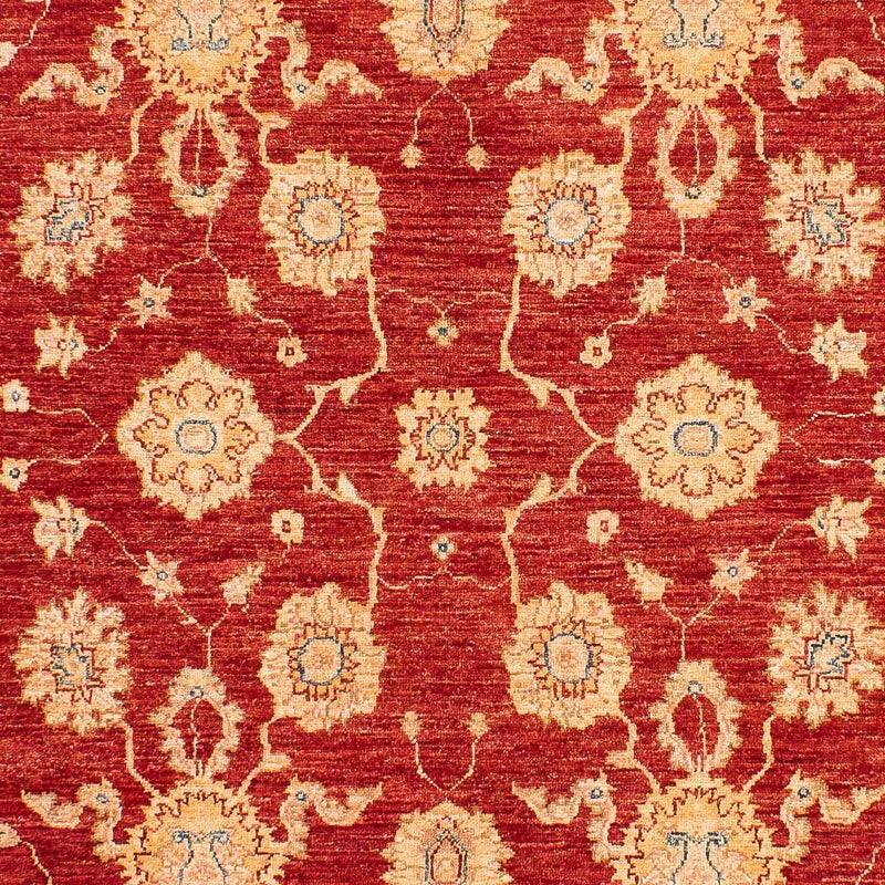 Tapis Ziegler - 245 x 163 cm - rouge