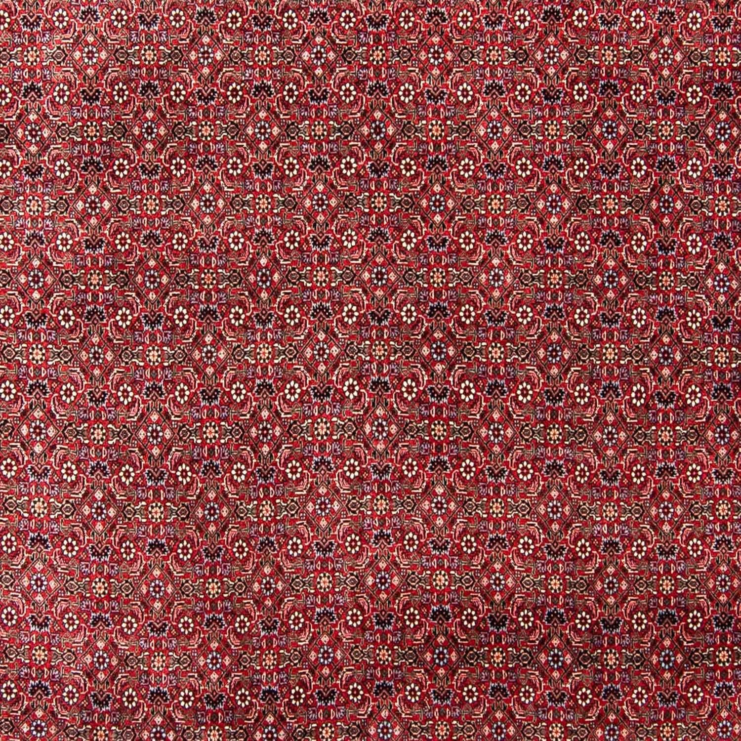Tapis persan - Bidjar - 300 x 253 cm - rouge foncé